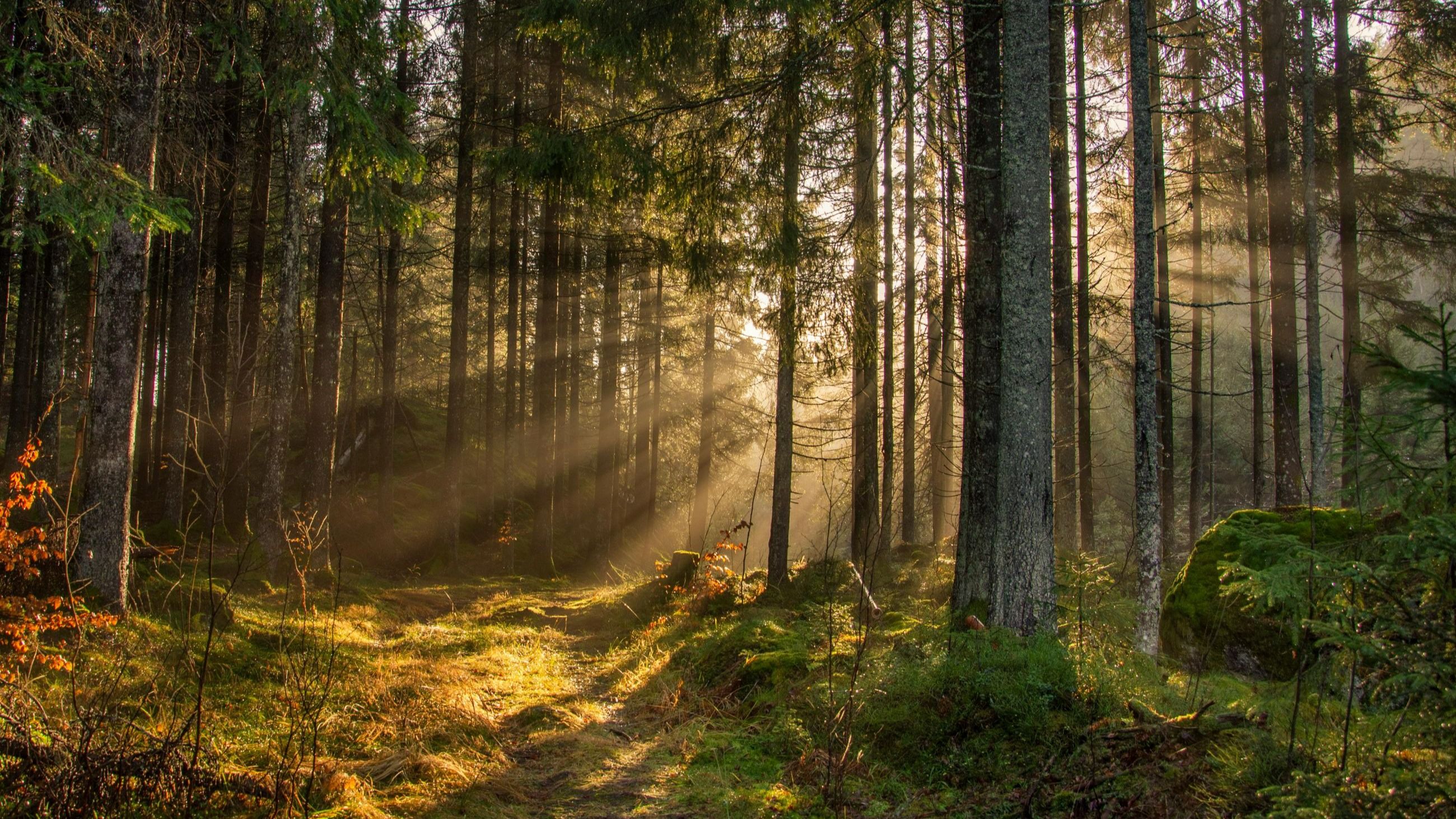 Apple Watch Series 11 - Courtesy Press Office 