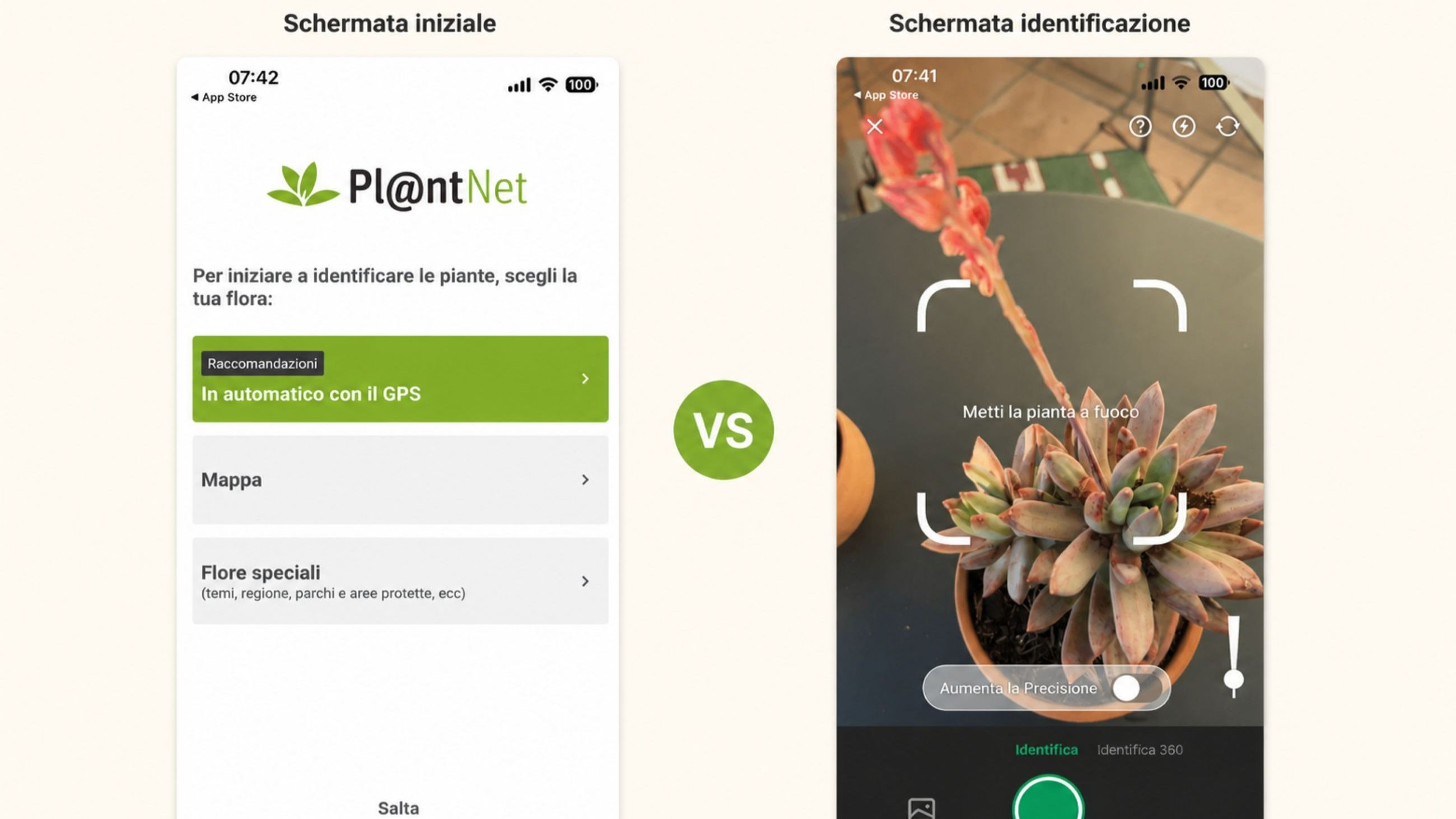 PlantNet (gratuita e no-profit) vs PictureThis (più intuitiva, con abbonamento): due modi diversi di avere un botanico in tasca