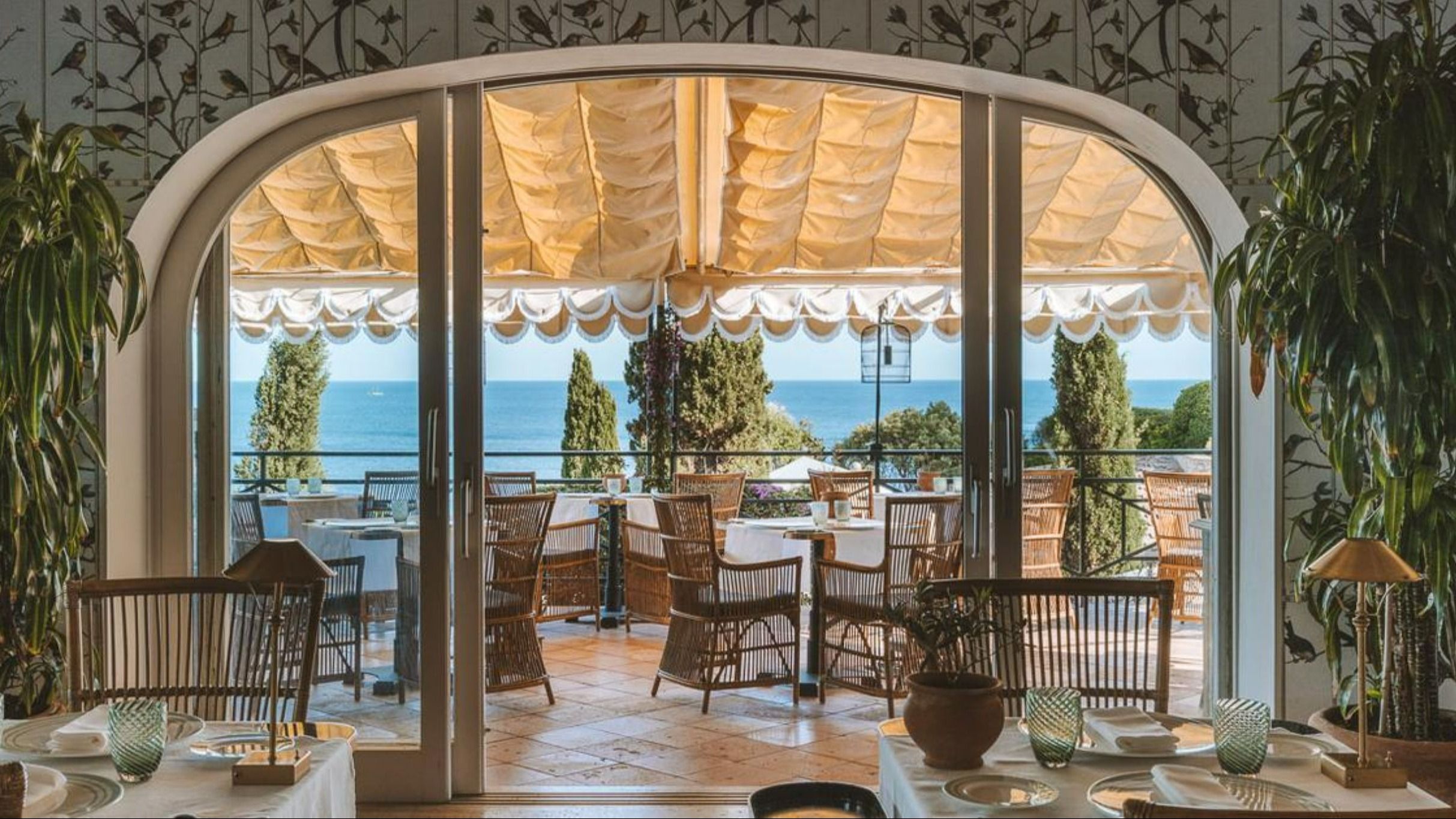 Il Pellicano - Credits: Courtesy Press Office