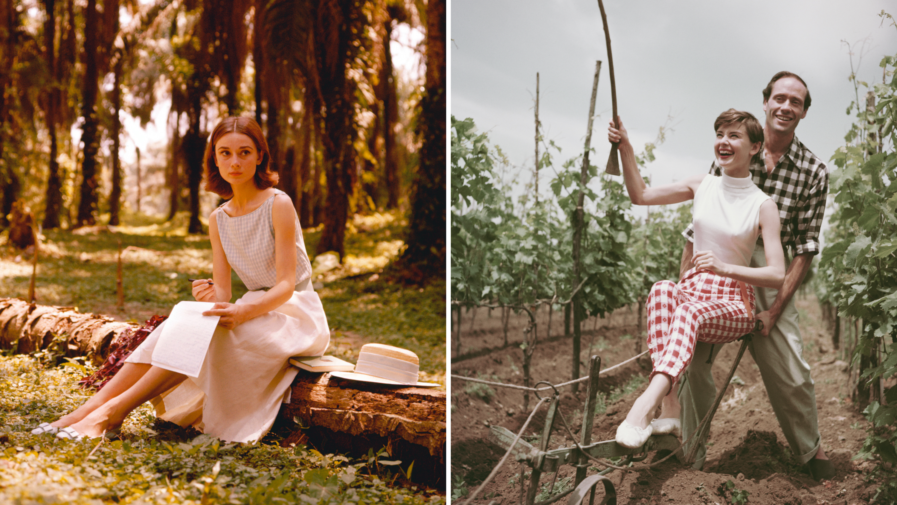 L'attrice Audrey Hepburn scrive una lettera a Palme Grove, 1955; Audrey insieme al marito, l'attore americano Mel Ferrer, mentre ara un vigneto in Italia, 1955
Credits: Getty Images