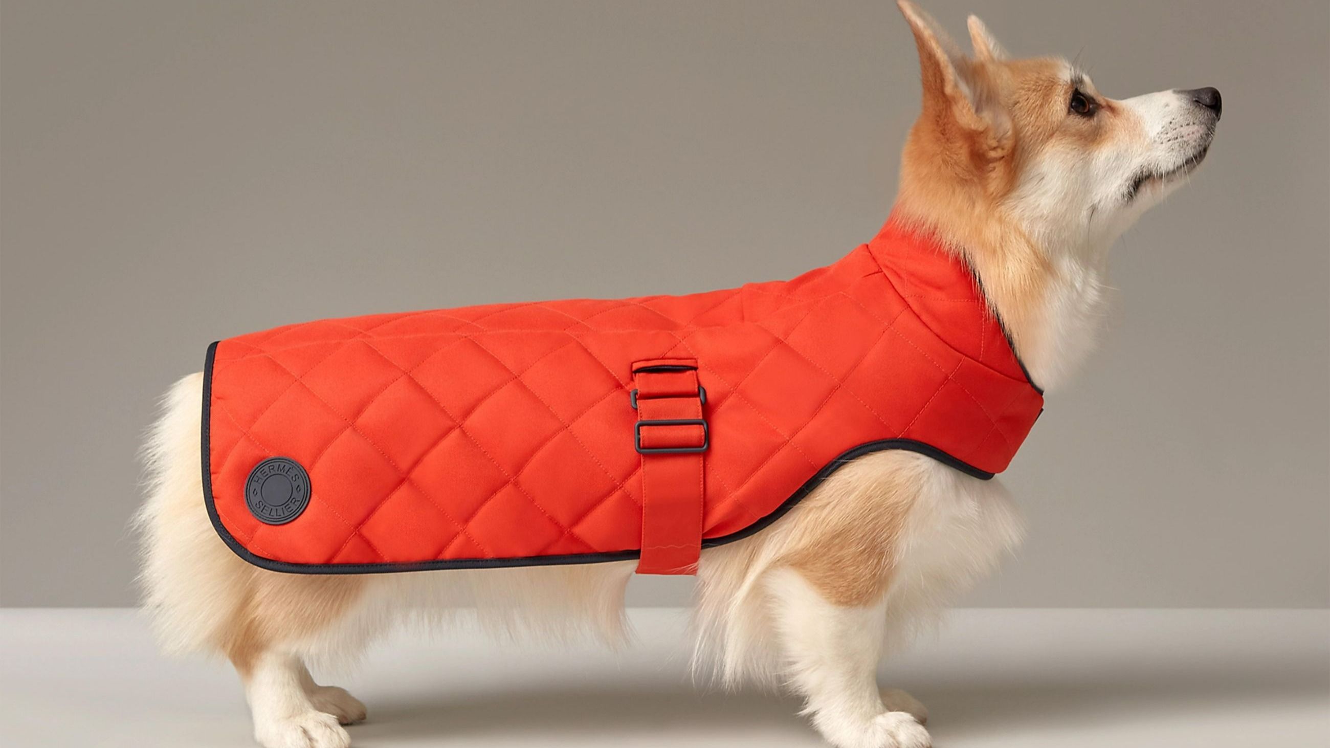 Il cappottino trapuntato di Hermès, nell’arancione iconico della maison - Credits: Ufficio Stampa