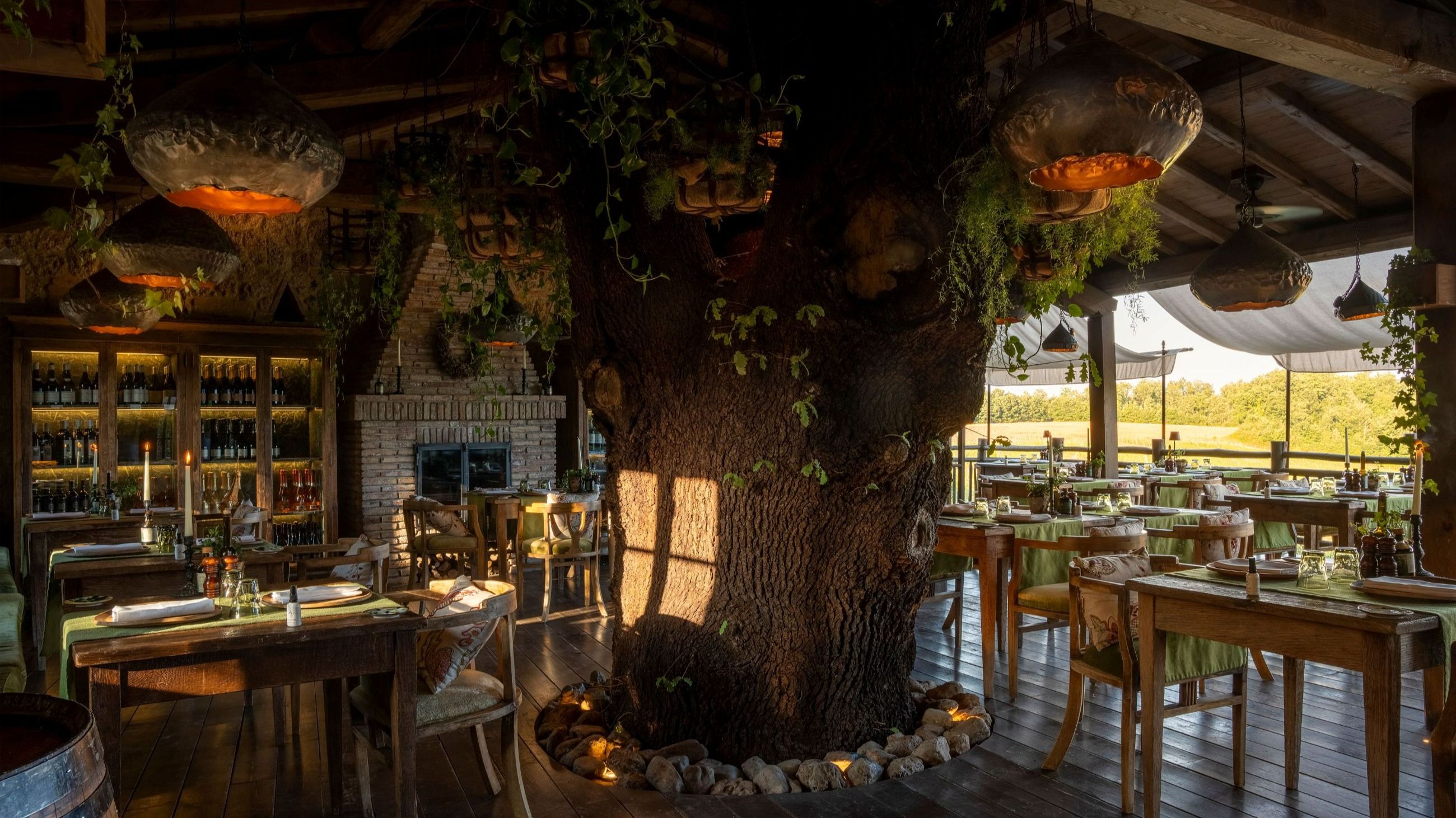 Borgo Santo Pietro, Trattoria sull’albero - Courtesy Press Office