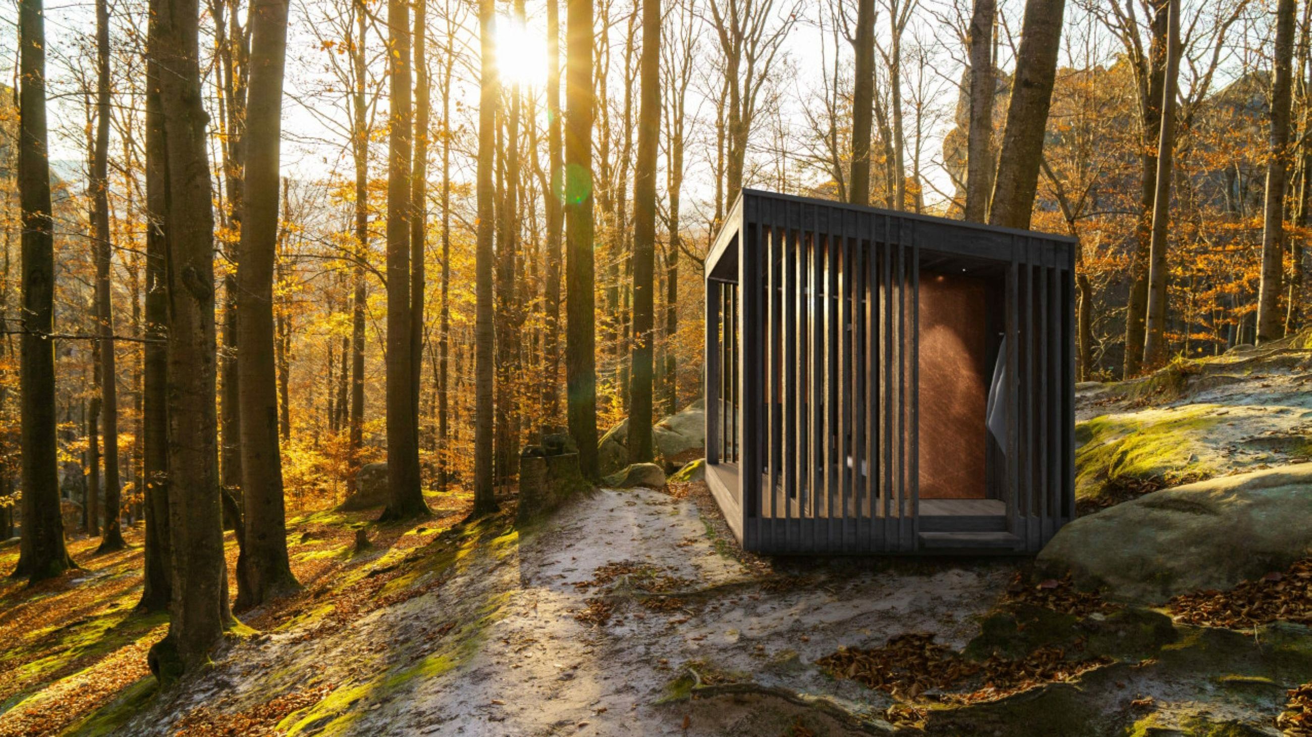 Sauna Nature Saunadi Starpool - Credits: Courtesy Starpool