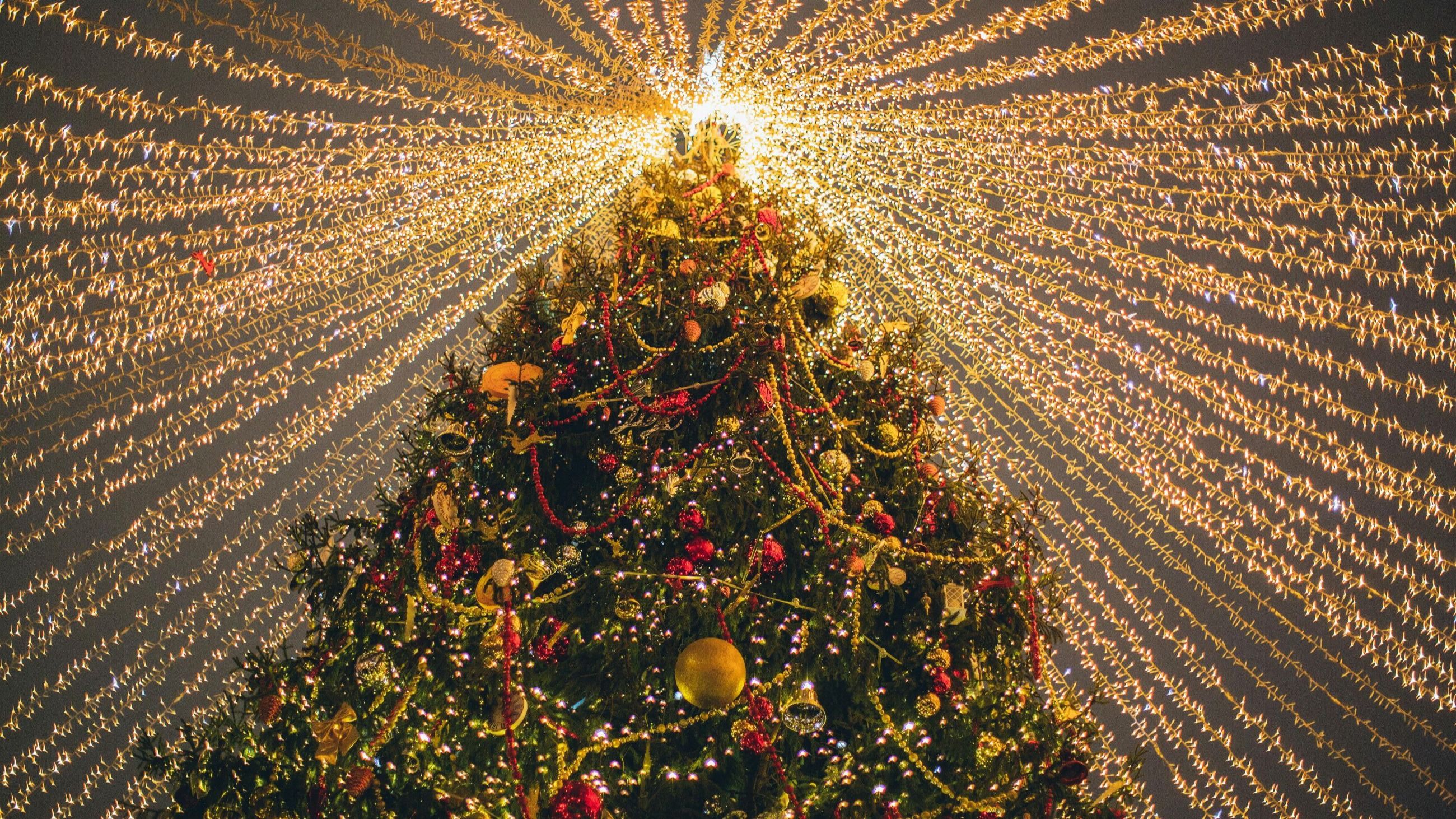 Un maestoso albero di Natale incanta le festività con le sue mille luci - Credits: www.pexels.com
