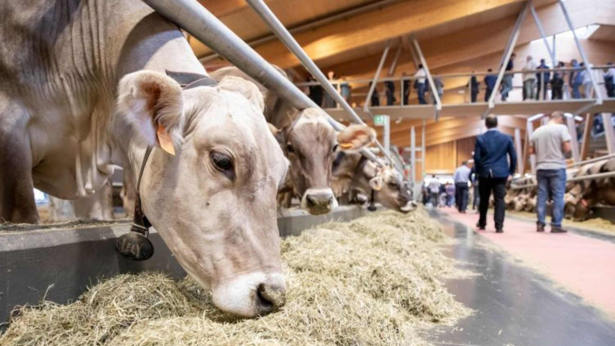 La Fiorida - Credits: Courtesy Press Office