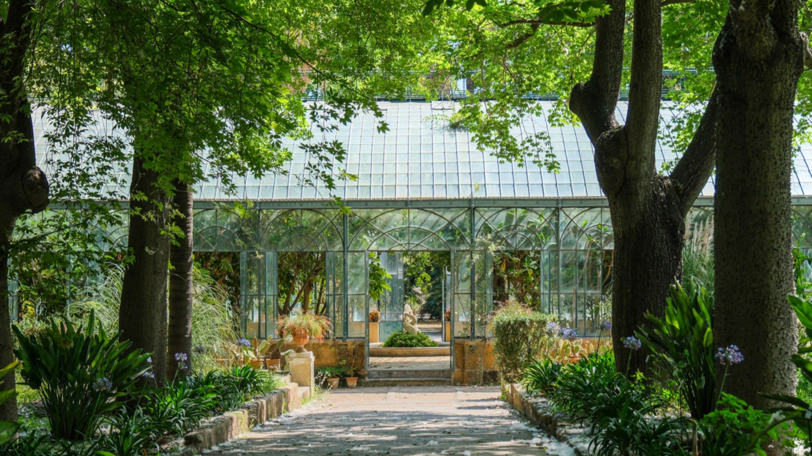 Orto Botanico di Palermo - Courtesy Press Office
