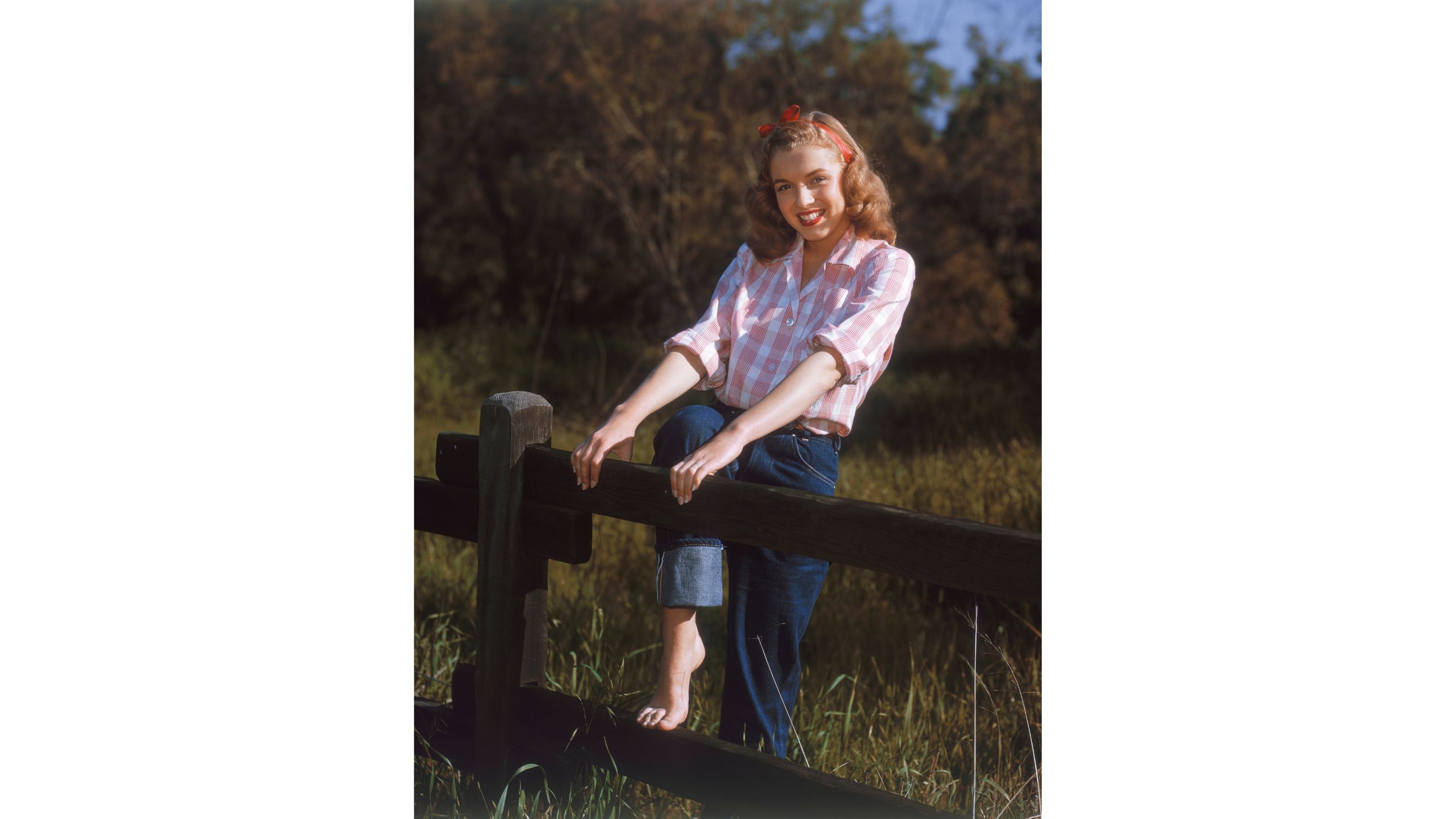 L'attrice Marilyn Monroe, allora nota come Norma Jeane Mortenson, posa per un ritratto nel 1946 a Los Angeles, in California - Credits Getty Images 