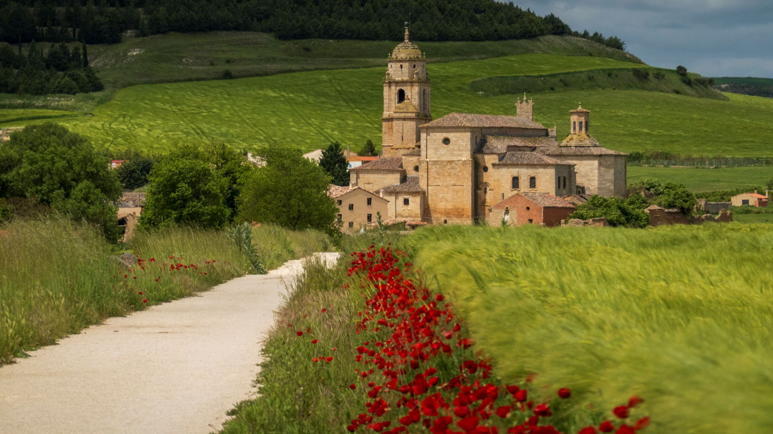 Vista del Cammino di Santiago, dei campi di cereali e papaveri e della Collegiata di Santa Maria del Manzano a Castrojeriz, Spagna - Credits Getty Images