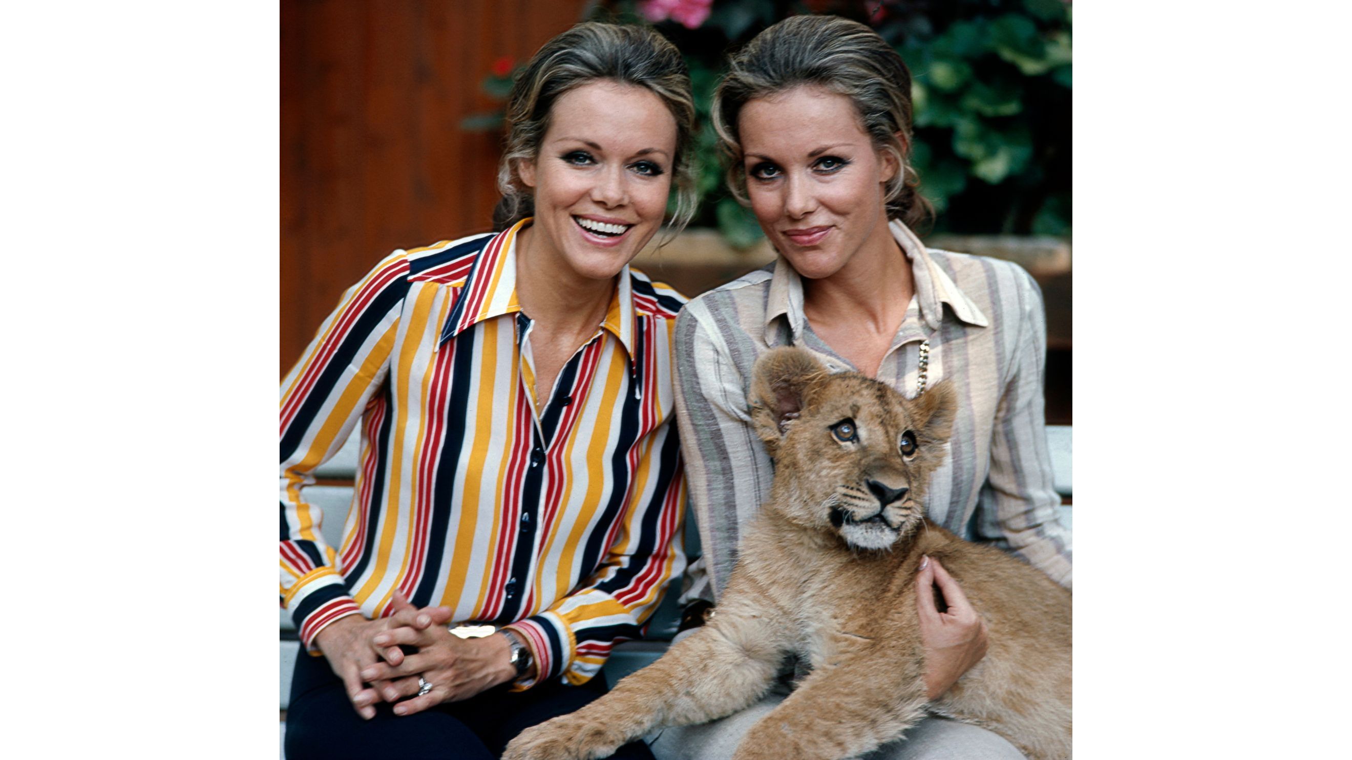 Le gemelle Kessler, le famose gemelle dello show business tedesco, attive come cantanti, ballerine, attrici e intrattenitrici, posano insieme per una foto con un cucciolo di leone, circa Anni ’70 - Credits: Getty Images