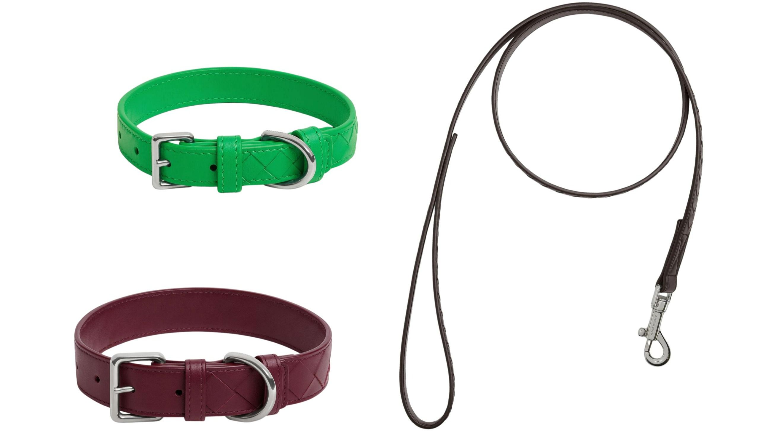 Collari e guinzaglio di Bottega Veneta: in alto a sinistra, il collare nella tonalità Parakeet in taglia piccola; in basso a sinistra, il modello nella nuance Barolo in taglia media. A destra, il guinzaglio è color fondant - Credit: www.bottegaveneta.com