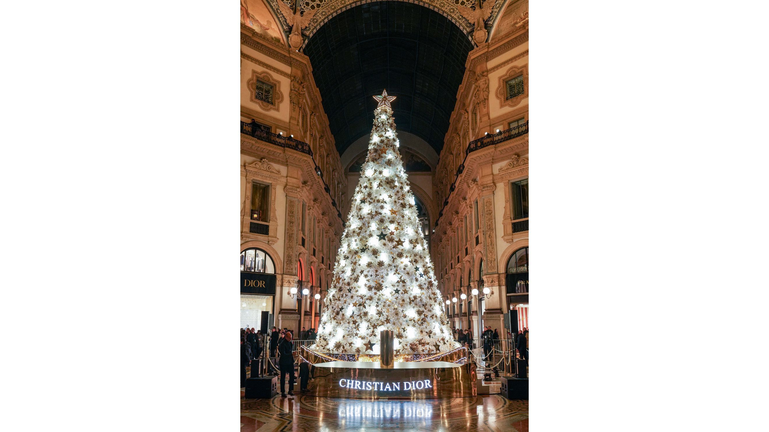 L’albero di Natale firmato Dior in Galleria Vittorio Emanuele nel 2024 - Credits Getty Images 