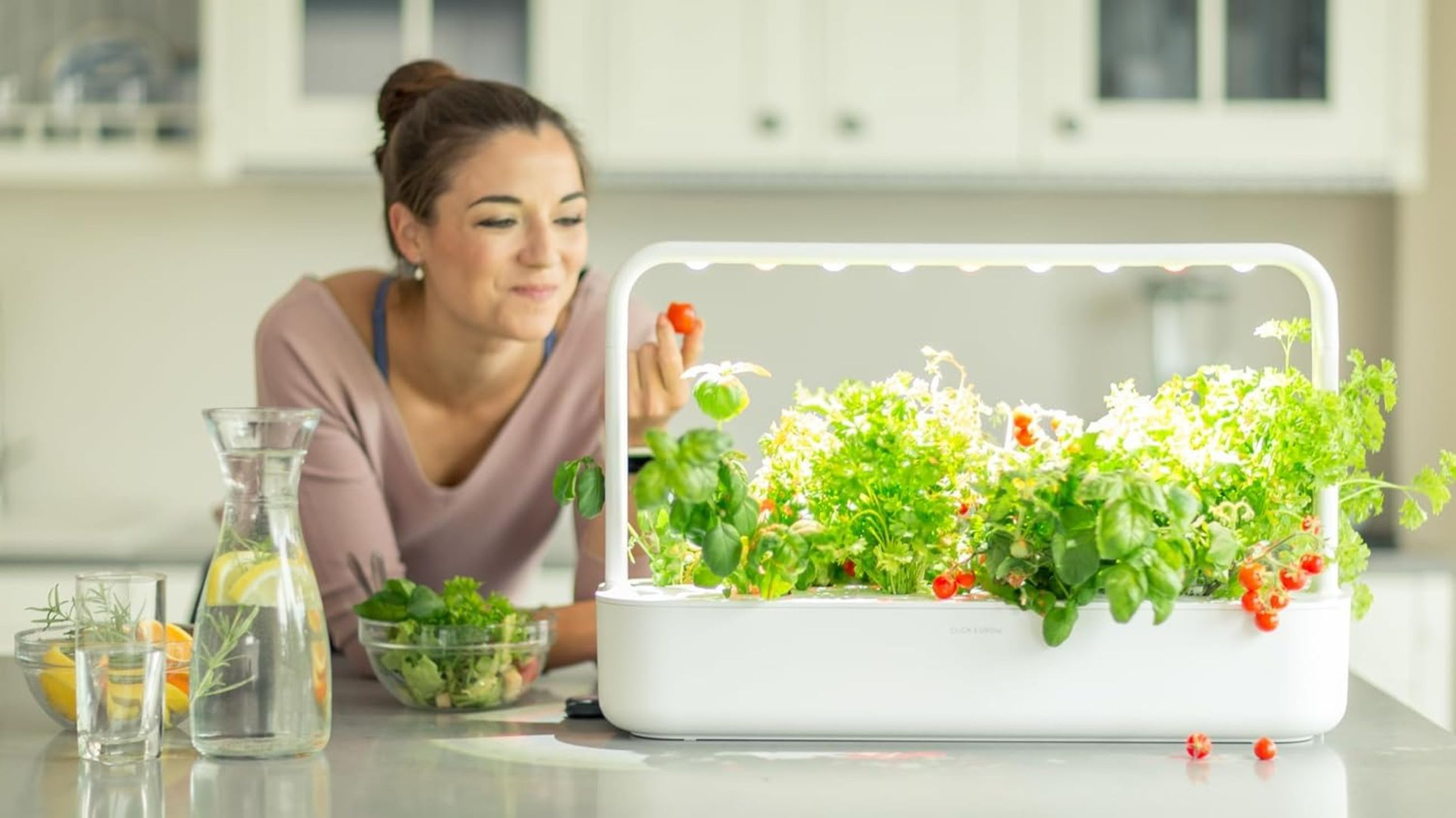 Orto idroponico da cucina con luci LED integrate: basilico, pomodorini e insalata crescono senza terra e senza finestre 
