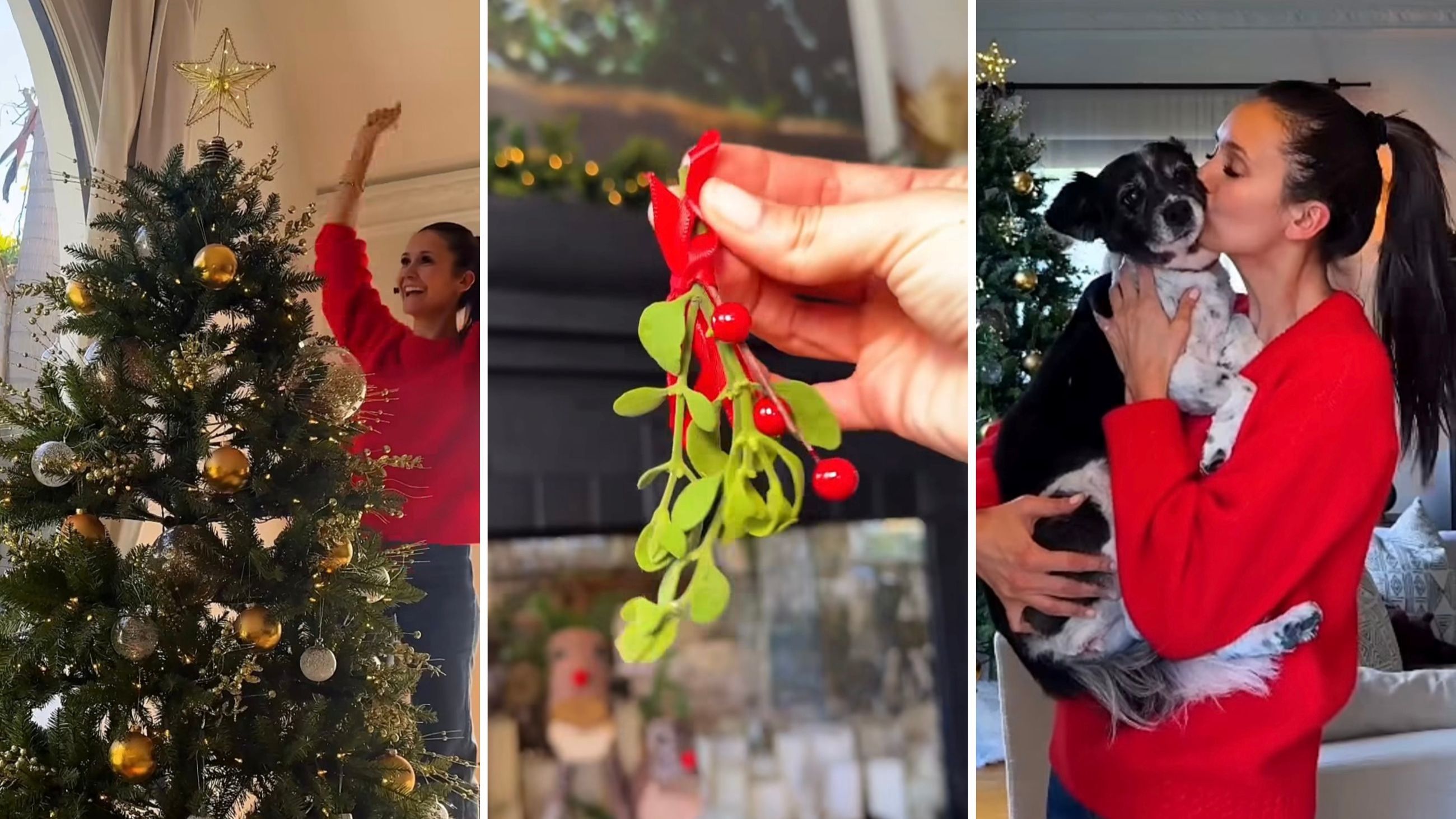 L’attrice Nina Dobrev addobba felice il suo albero di Natale. Con lei la sua fedele amica a quattro zampe Mrs. Maverick - Credits: screenshot tratti da un reel pubblicato da Nina Dobrev sul suo profilo Instagram