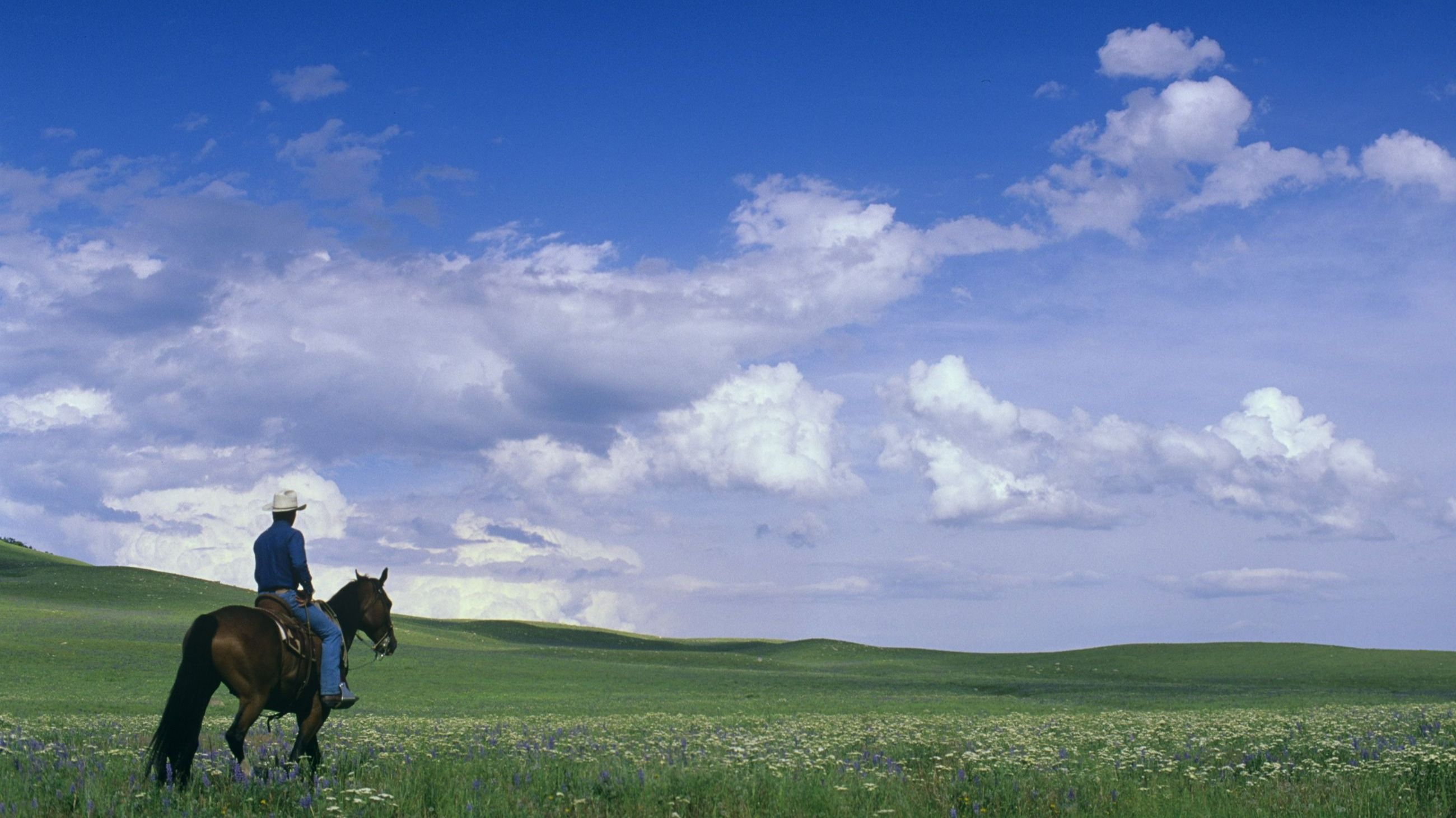L’attore e regista Robert Redford a cavallo durante le riprese del suo film L’uomo che sussurrava ai cavalli; 1997 - Credits: Getty Images