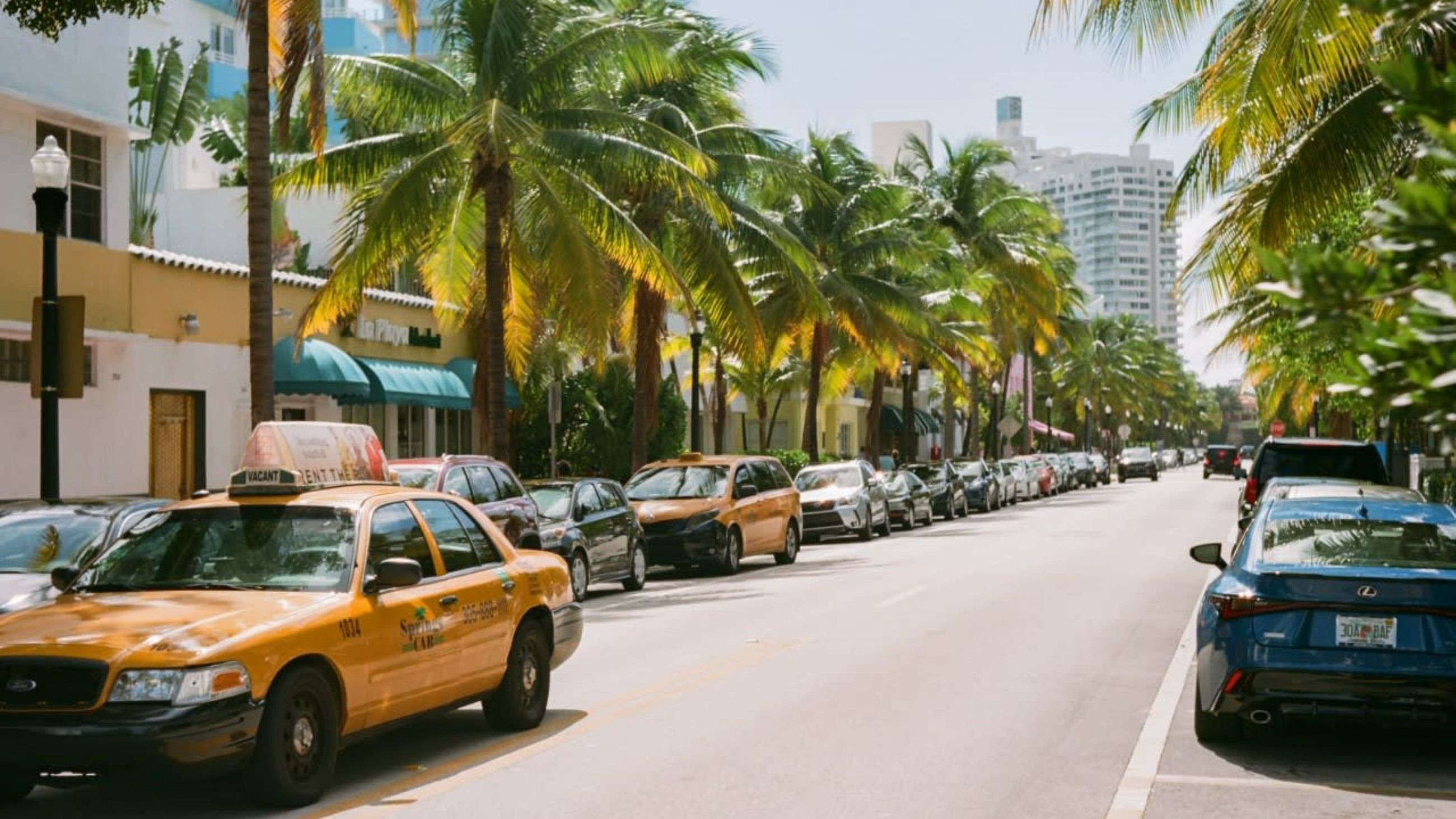 Miami - Credits: Sito Design Miami 