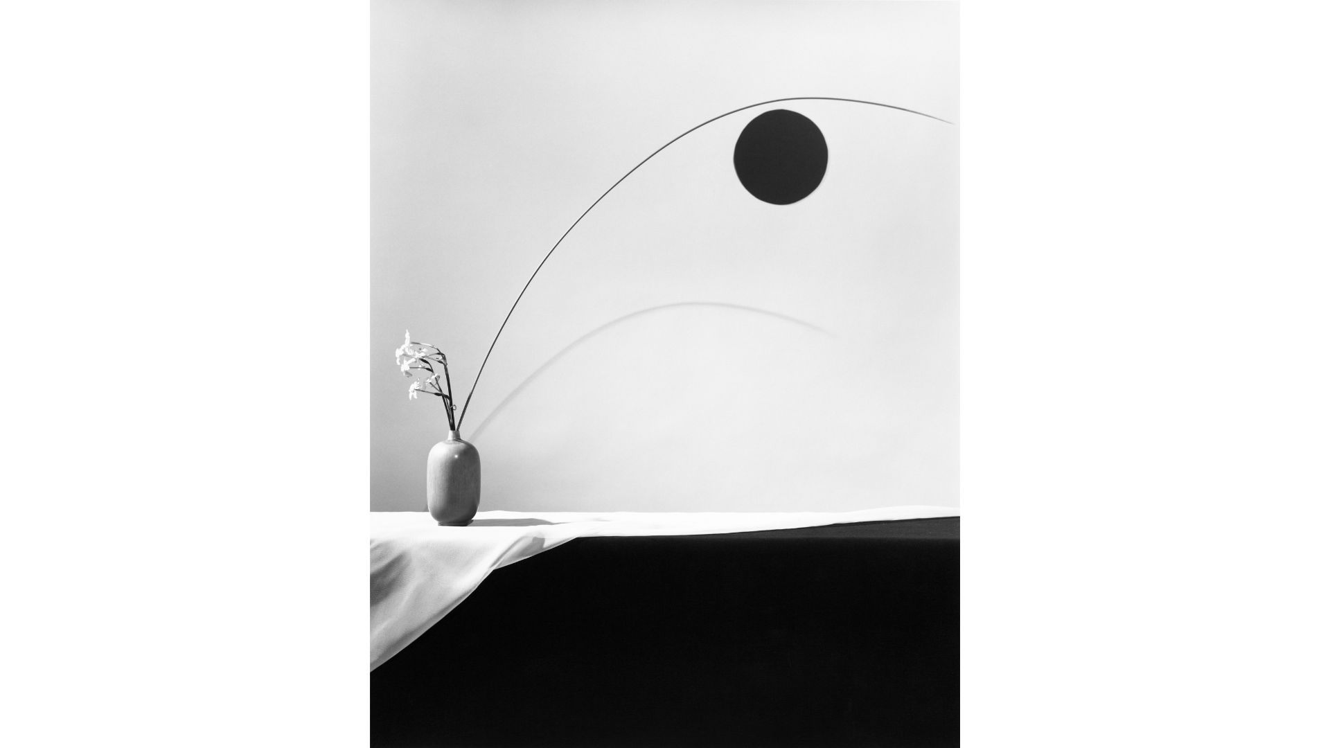 Fiori, 1983 © Robert Mapplethorpe Foundation. Used by permission