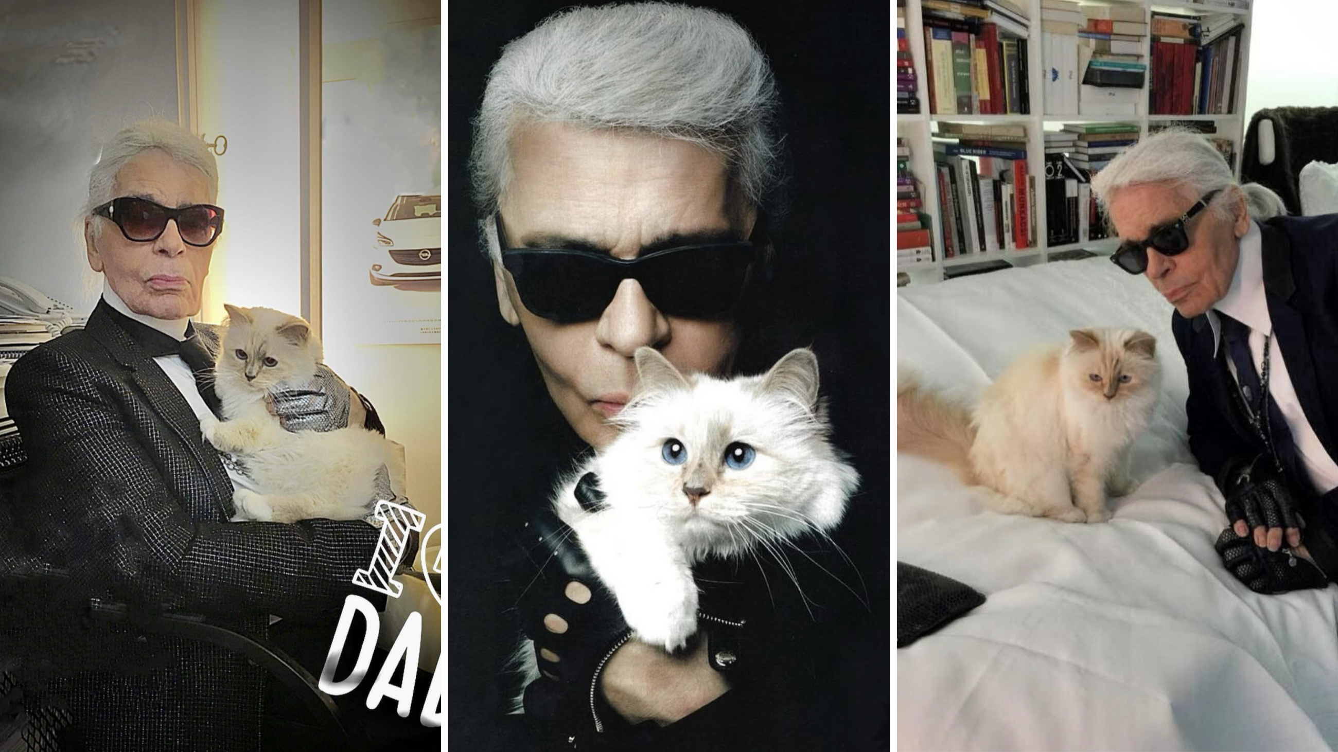 Dal profilo Instagram di Choupette, @choupetteofficiel