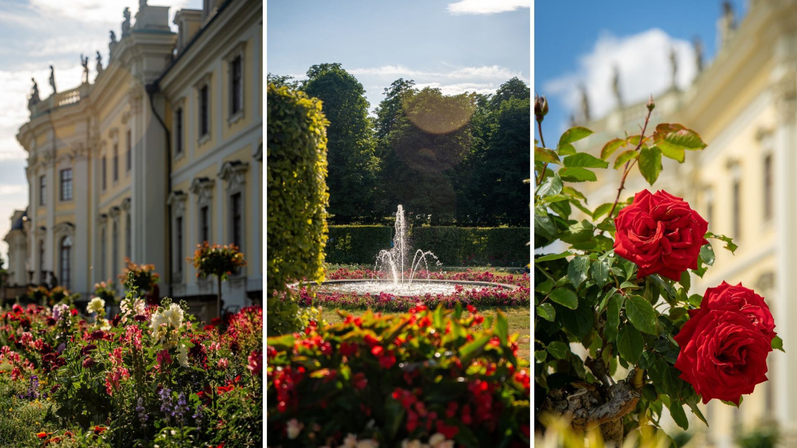 Blühendes Barock - Credits: Courtesy Press Office