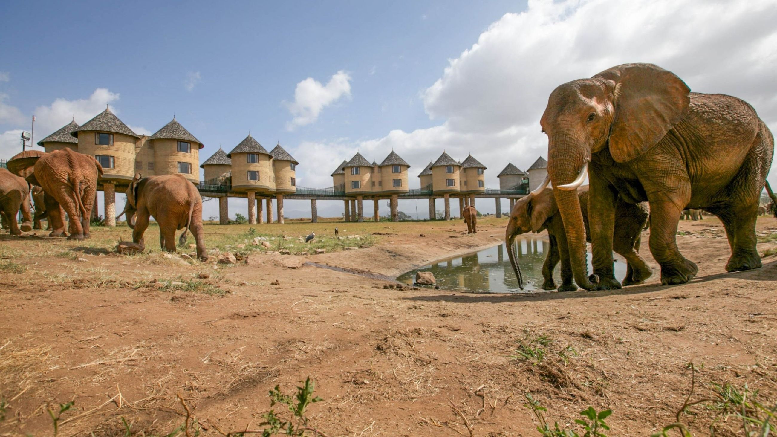 Salt Lick Safari Lodge - Credits: Courtesy Press Office 