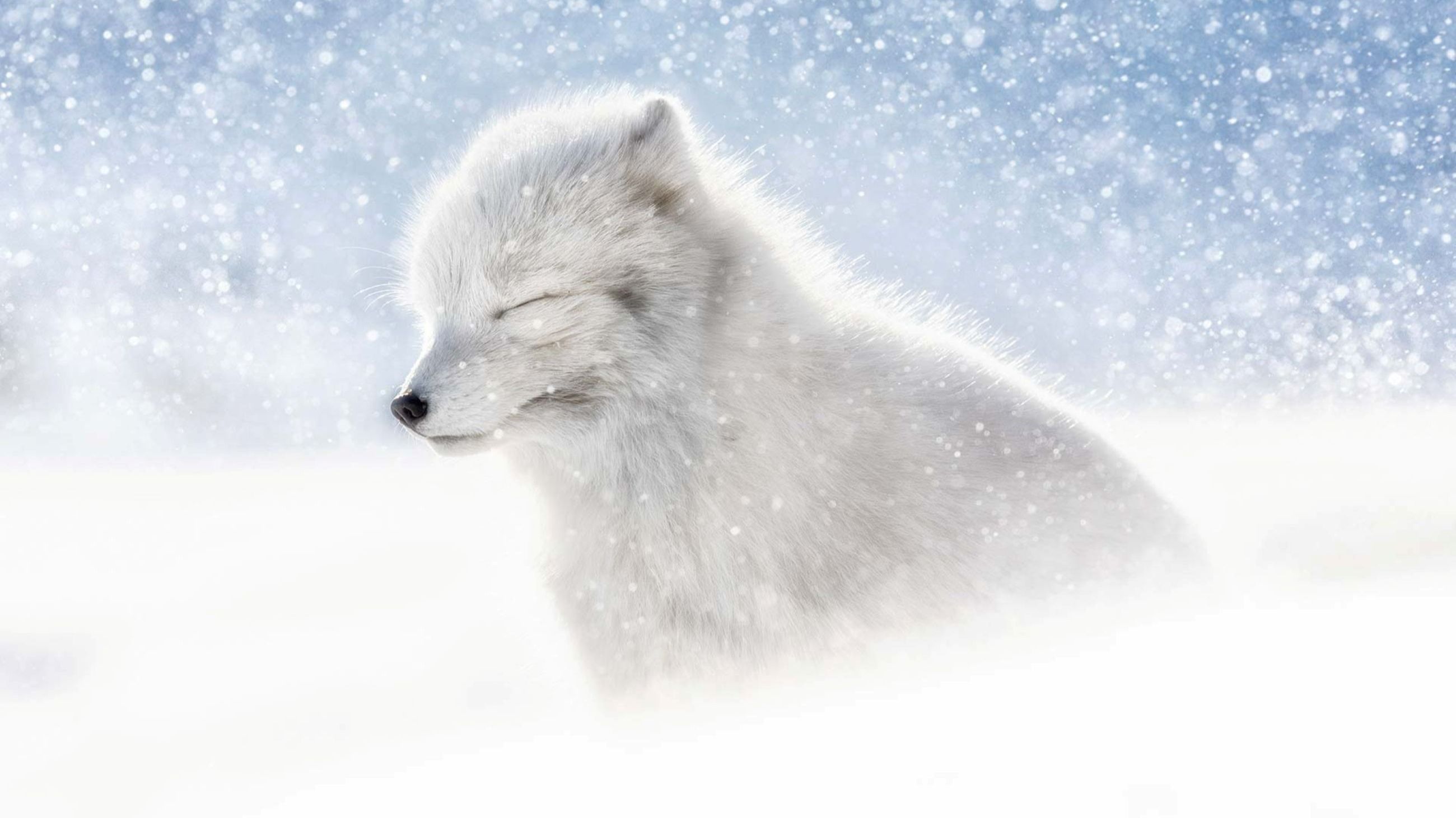 Marco Gaiotti – Tempesta all’arcipelago Svalbard in Norvegia