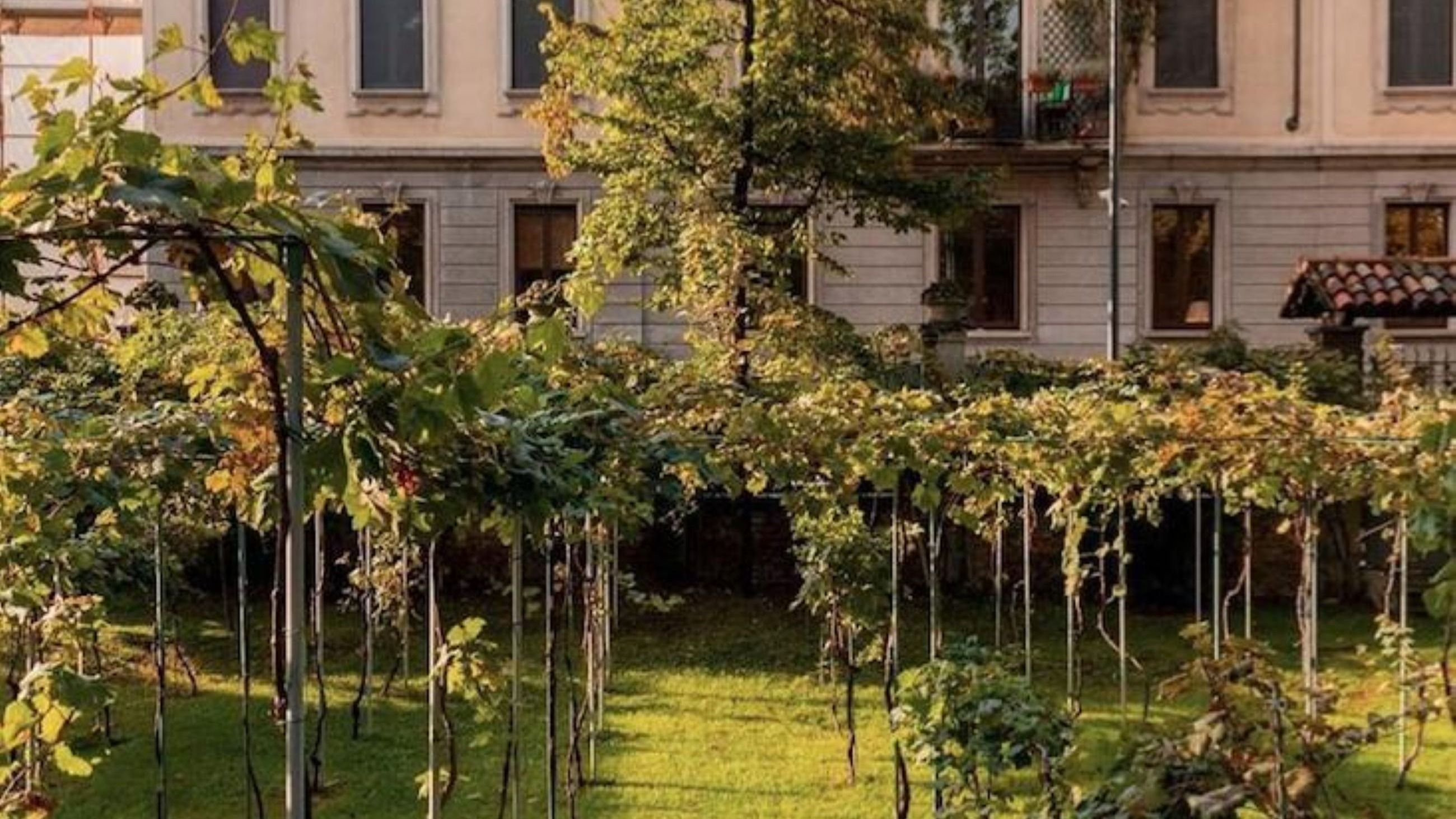 La Vigna di Leonardo - Courtesy Press Office