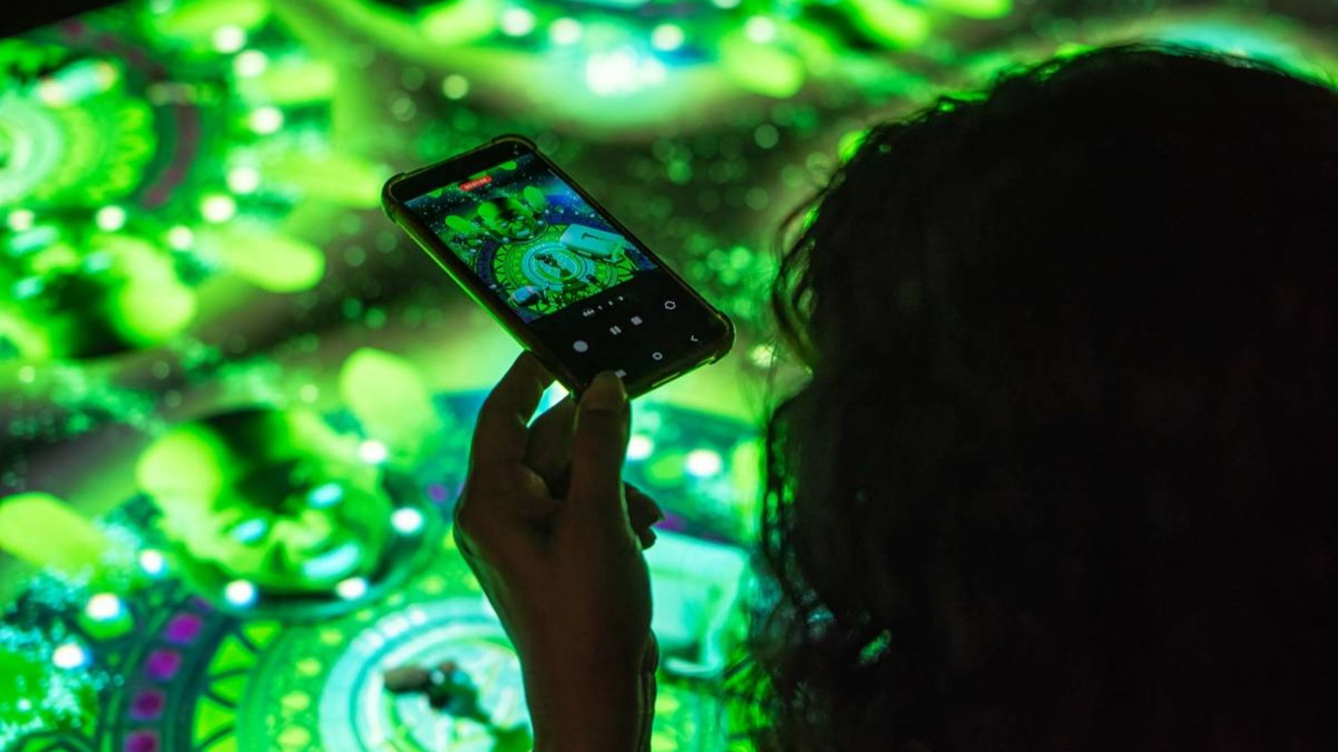 Sensory Feast - Courtesy Press Office