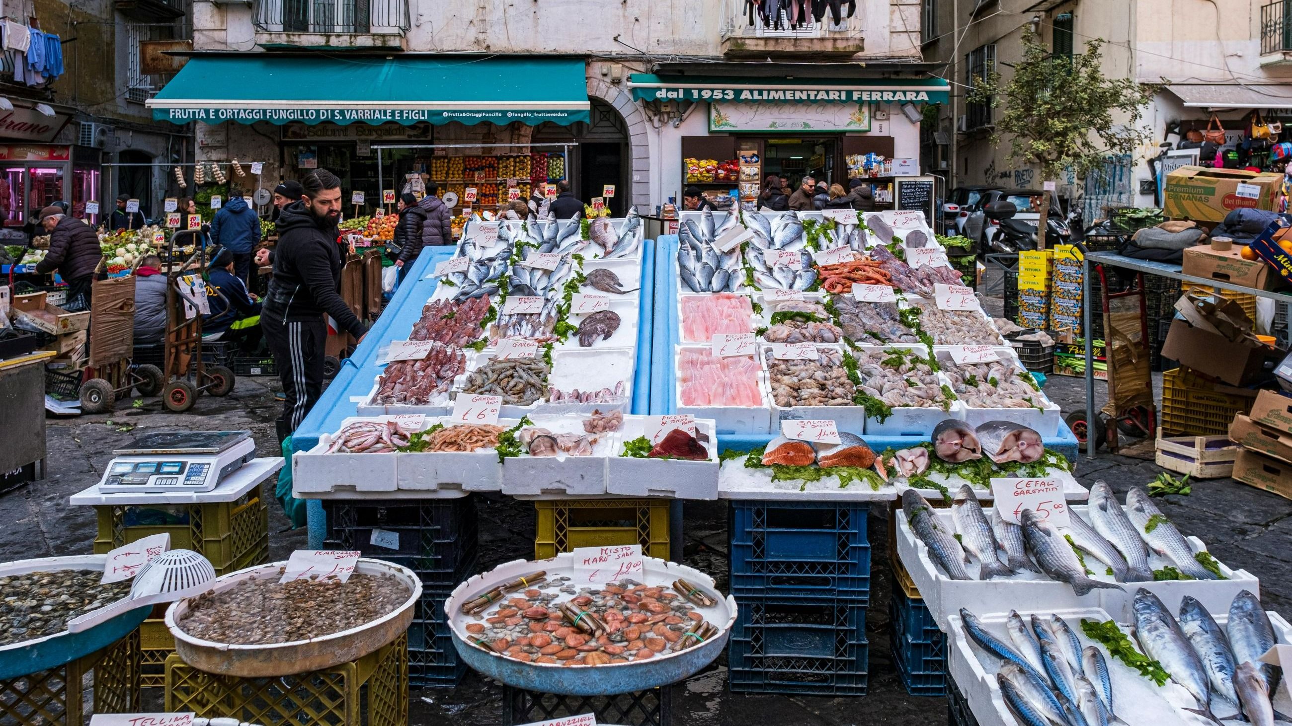 Bari 