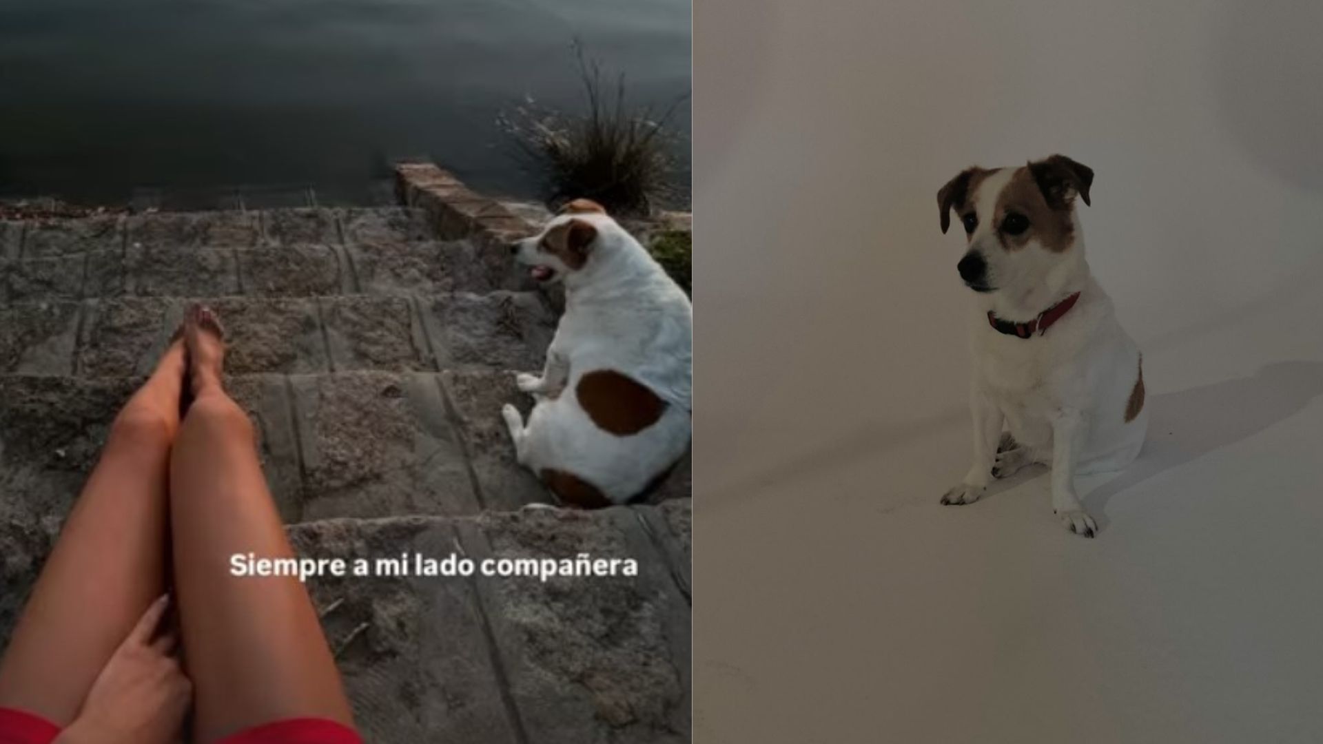 Cecilia Rodriguez e la sua cagnolina Aspi