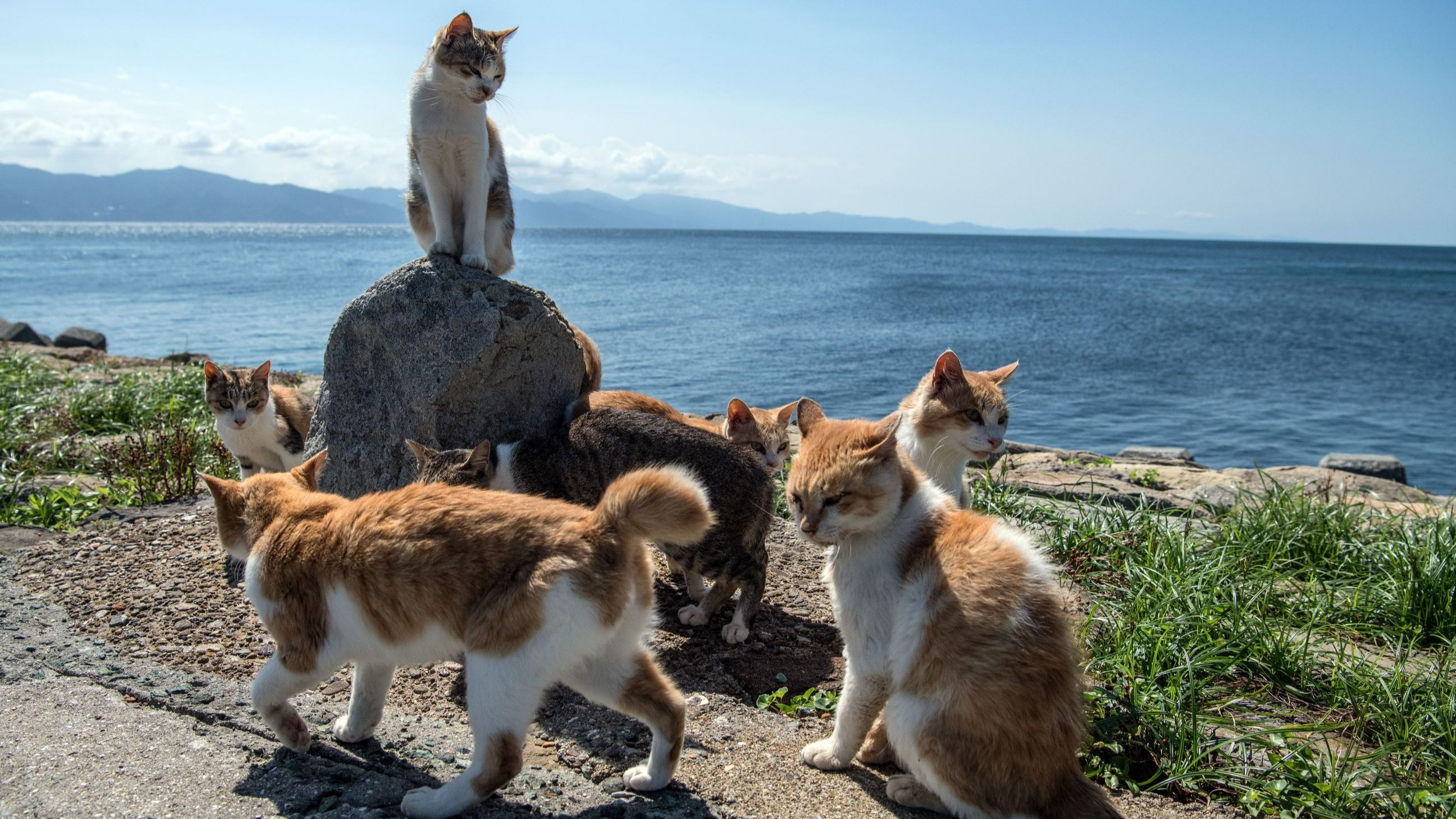 Credits Getty Images