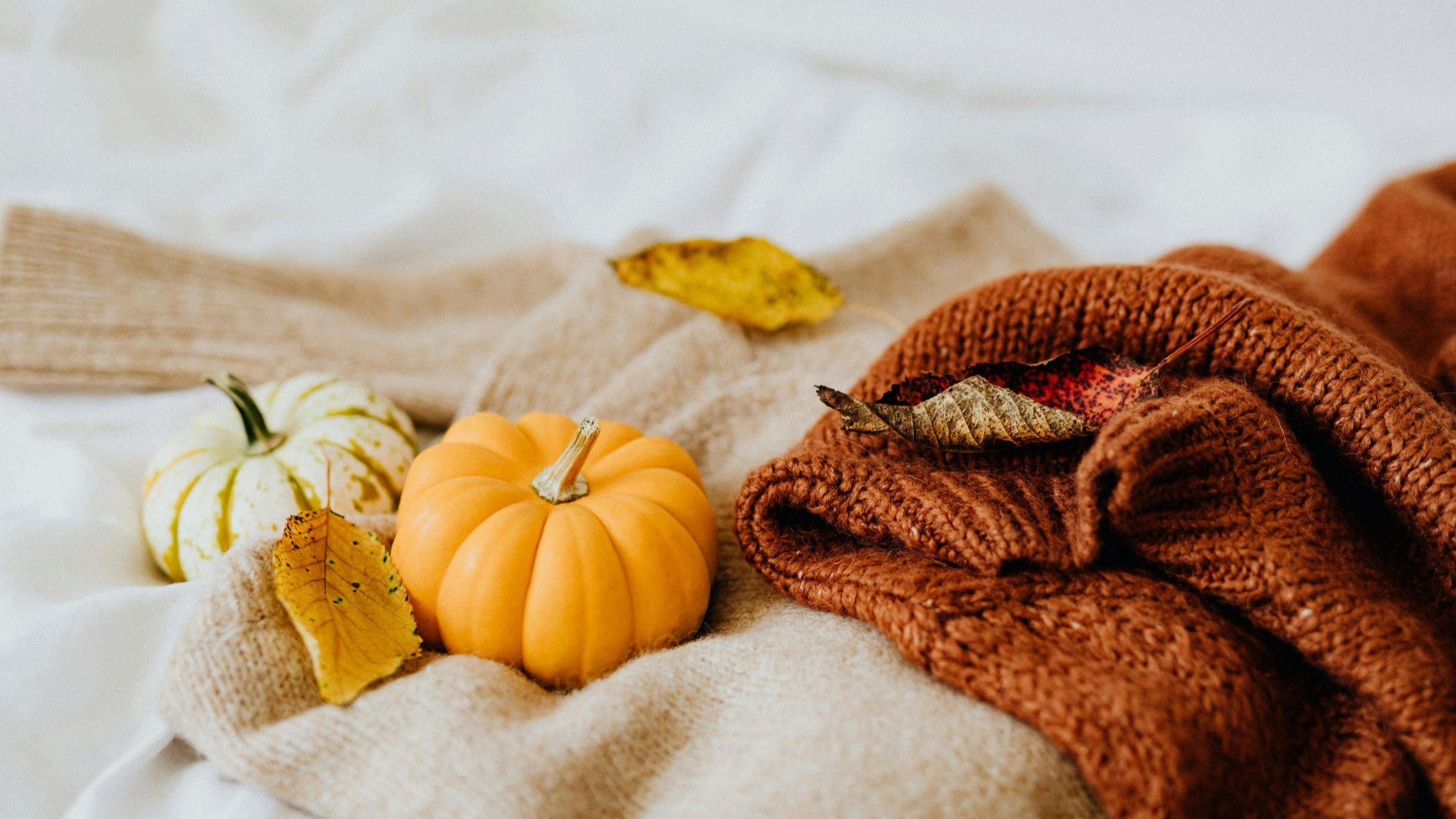 La zucca è uno degli ortaggi simbolo dell'autunno, dalle forme buffe e dalle nuances che comunicano sensazioni di calore e comfort - Credits: www.pexels.com