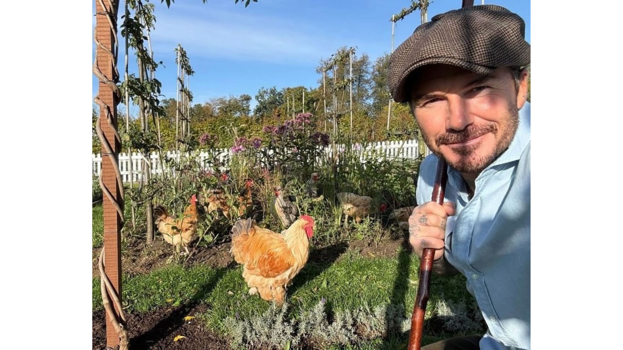 Immagine presa dal profilo Instagram di David Beckham