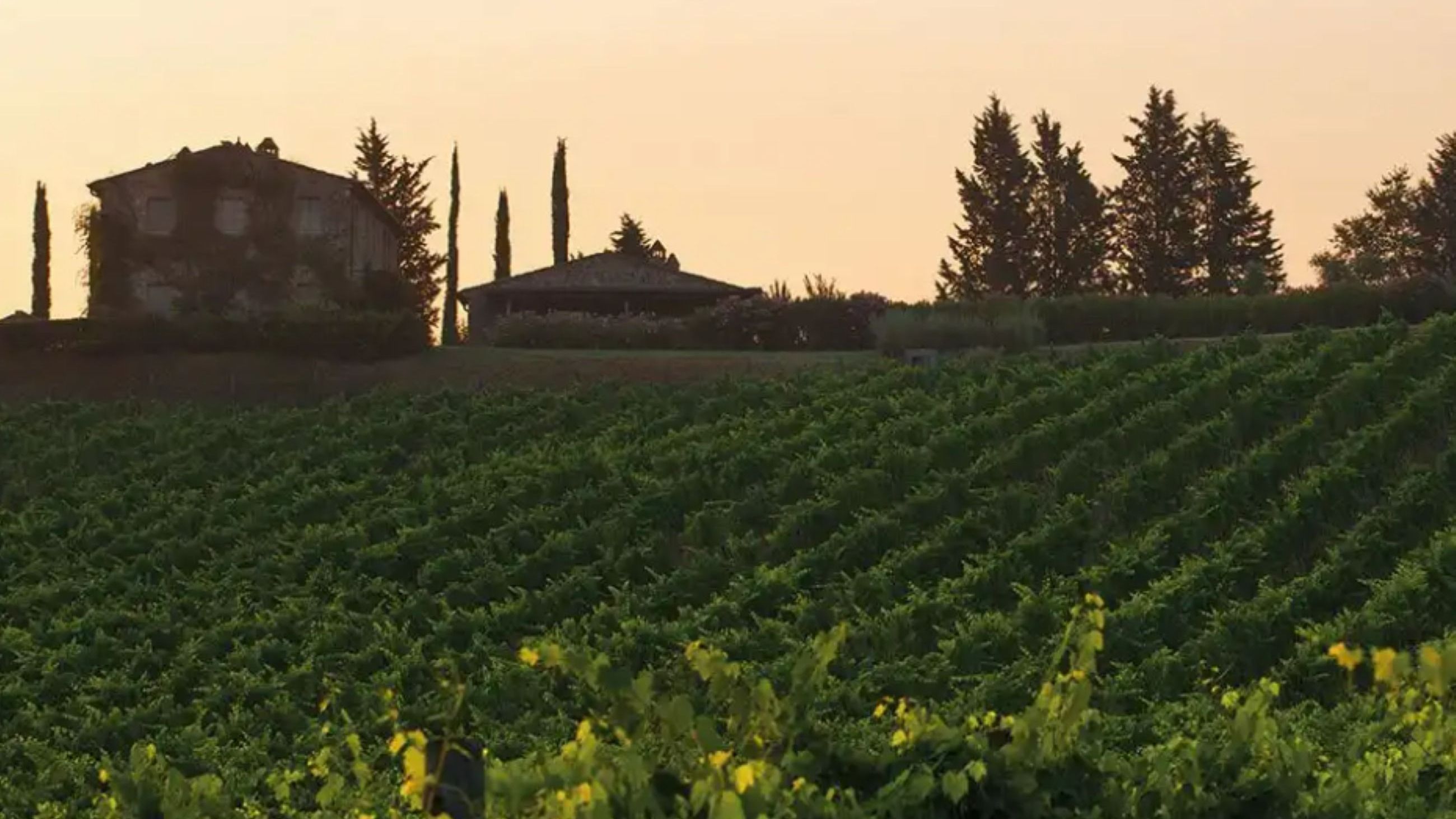 Castiglion del Bosco - Credits: Courtesy Press Office