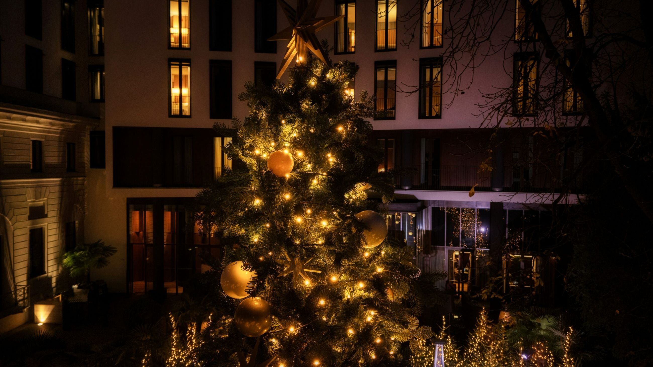 Il mega albero del Bulgari Hotel Milano - Courtesy Press Office