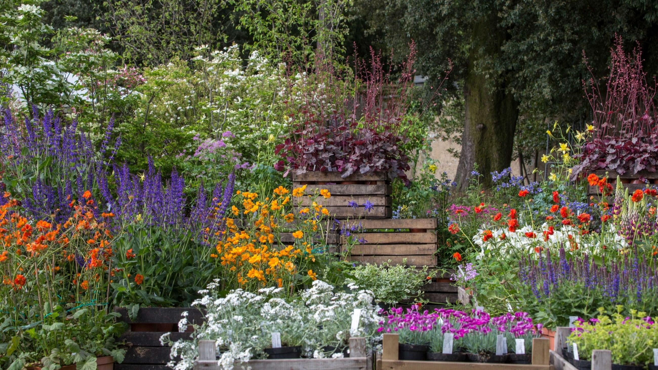 Tre Giorni per il Giardino al Castello di Masino: fiori, idee e cultura botanica condivisa 
Crediti: Dario-Fusaro FAI