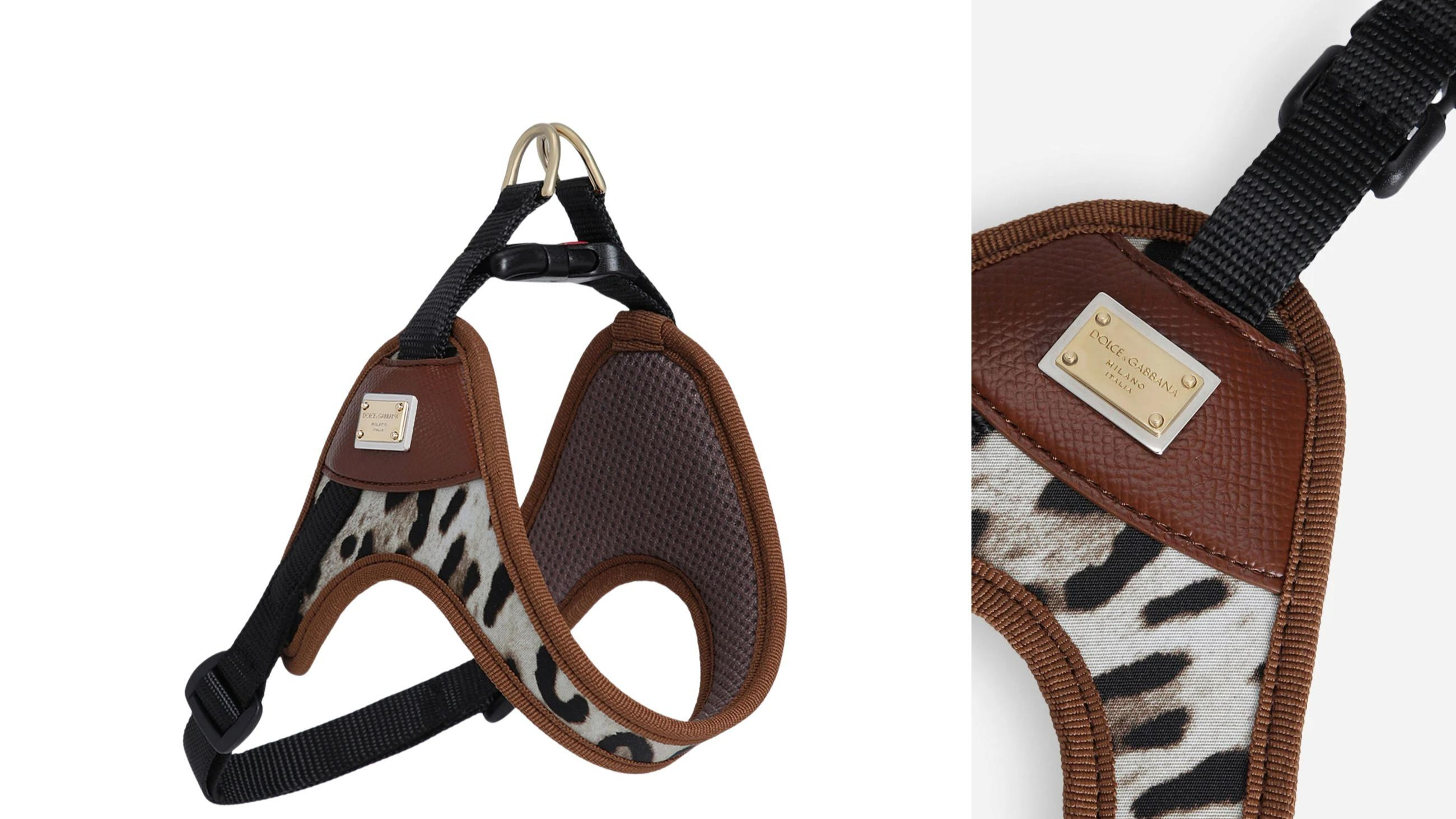 La pettorina con motivo DGLeo firmata Dolce&Gabbana - Credits: www.dolcegabbana.com