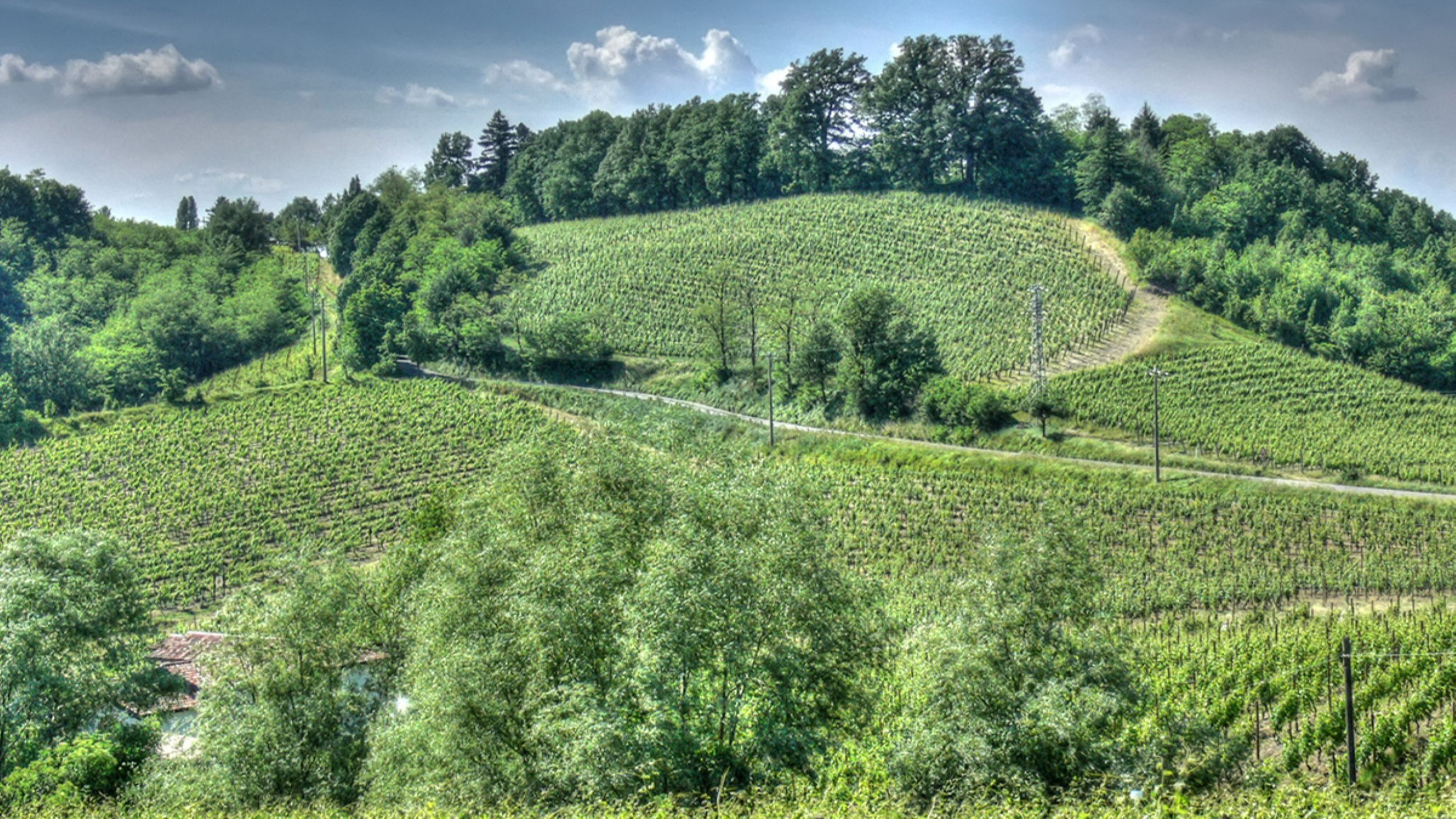 Colline Gavi - Credits: Courtesy Press Office