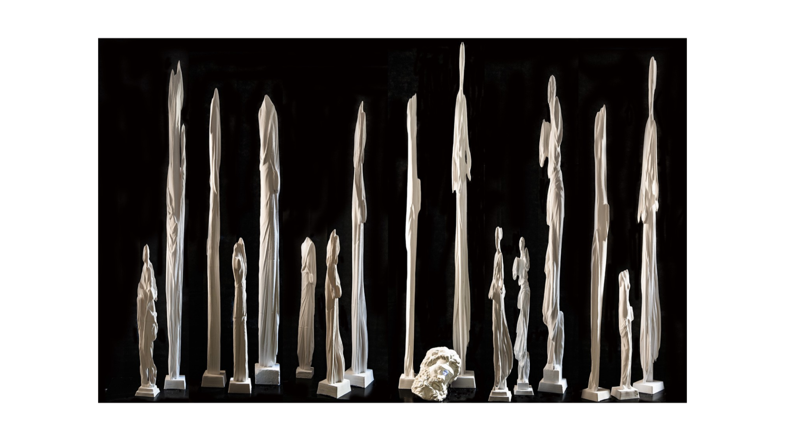 Bosco delle Ninfe 2020-2022 foto di Fabio Mantegna