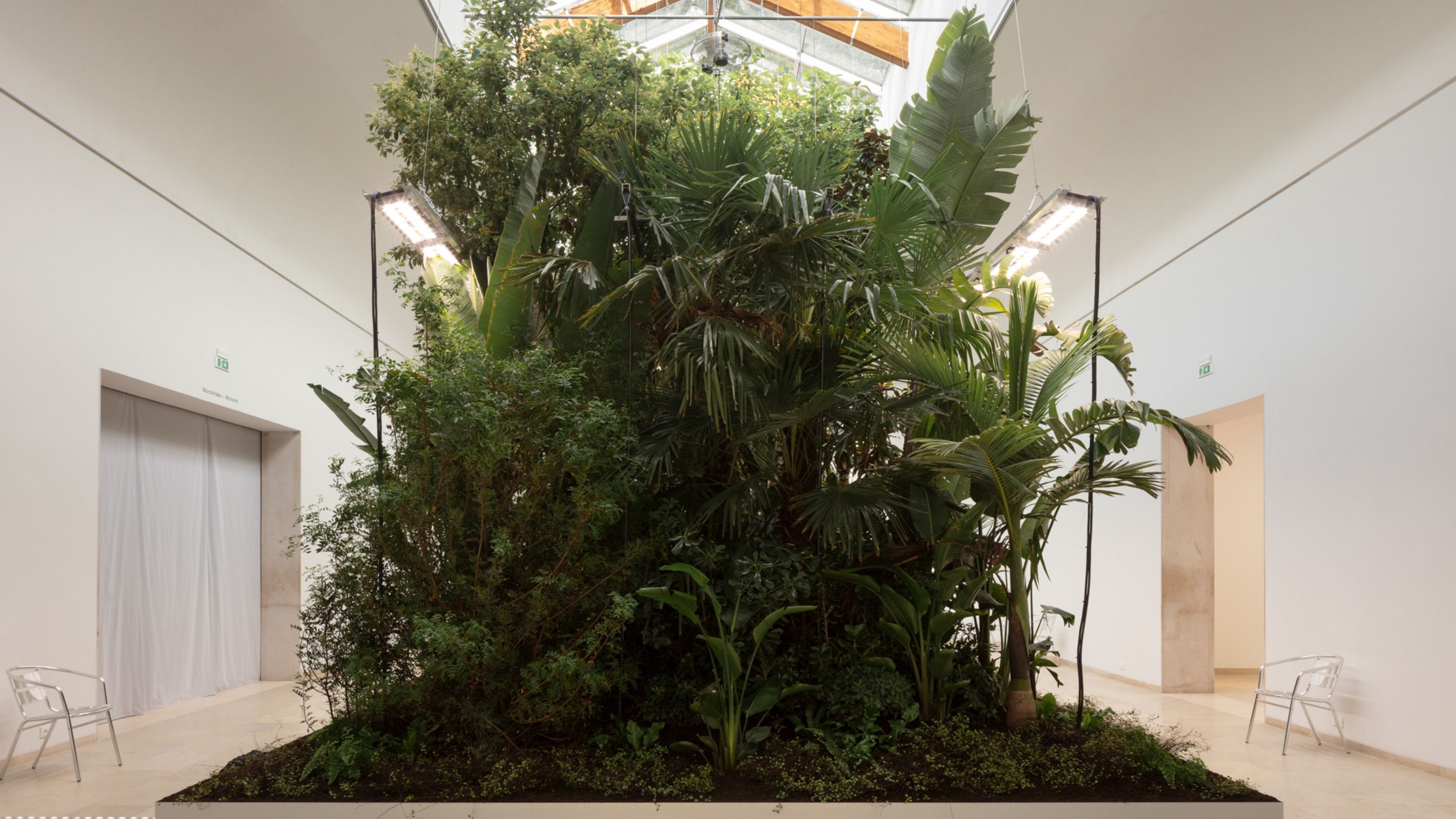 Courtesy La Biennale di Venezia