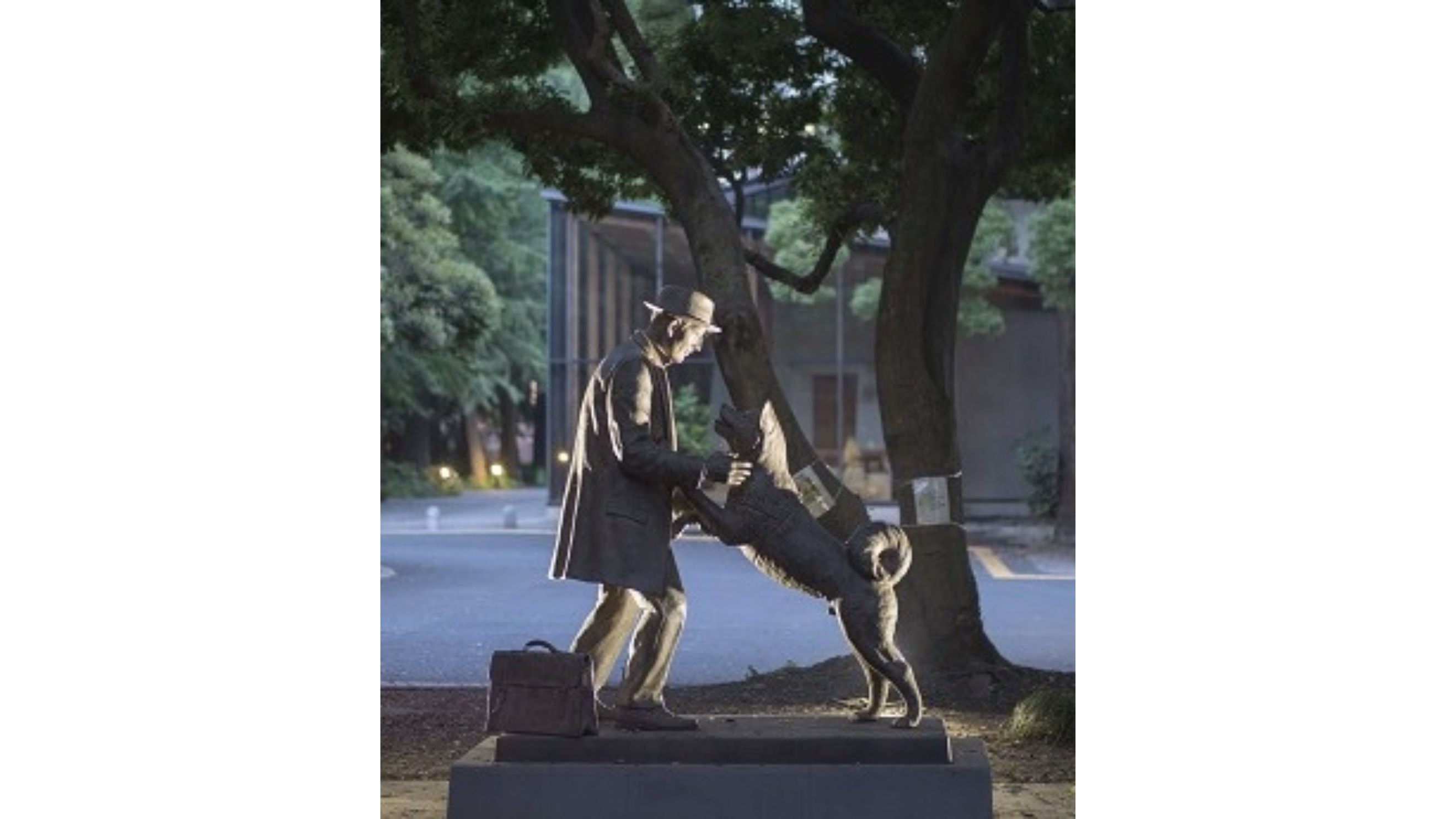 La statua che rappresenta il ricongiungimento di Hachiko con il suo padrone, mai avvenuto, ma nel cuore di molti, Università Imperiale di Tokyo
Credits: Getty Images
