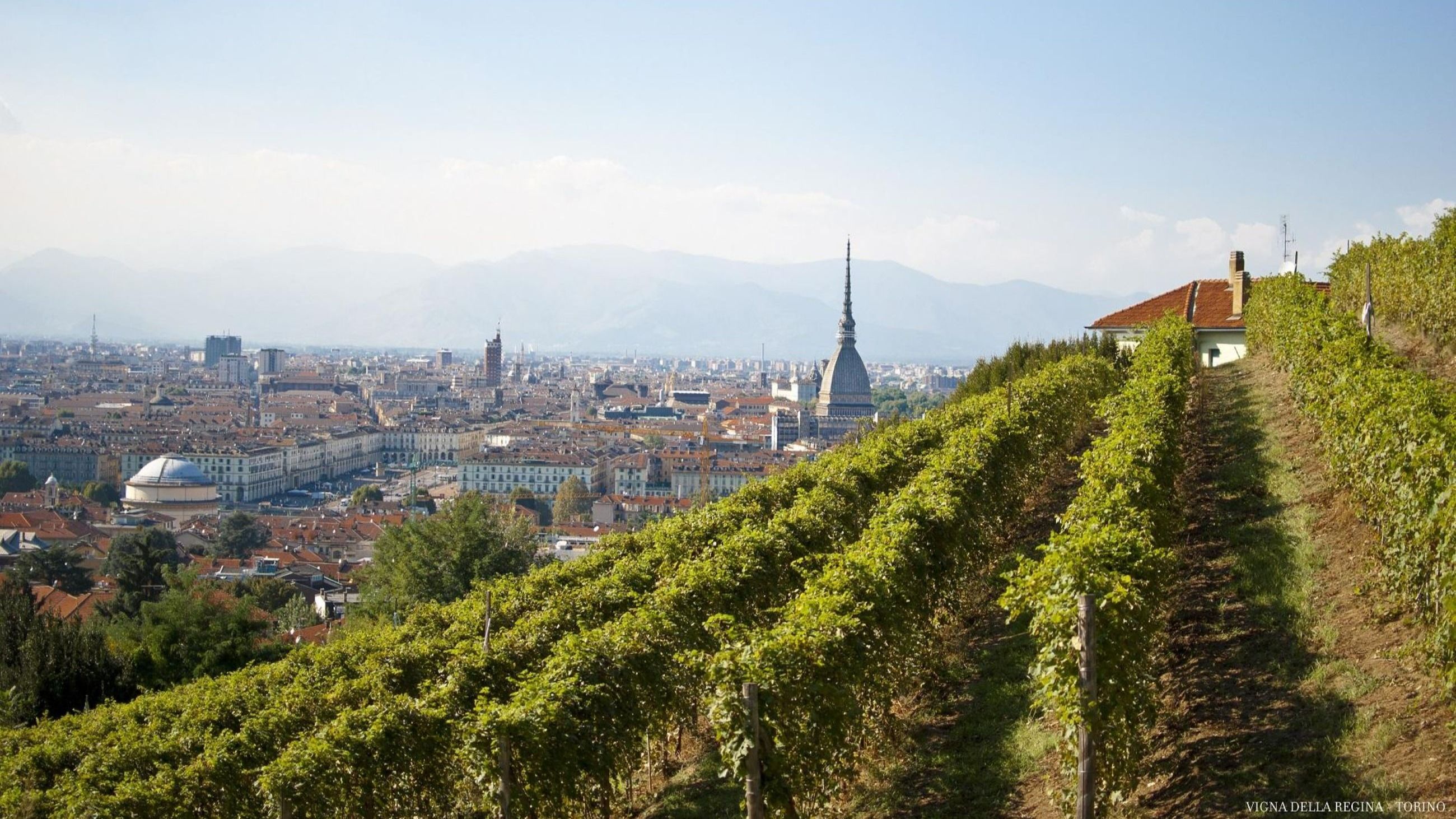 La Vigna della Regina - Courtesy Press Office