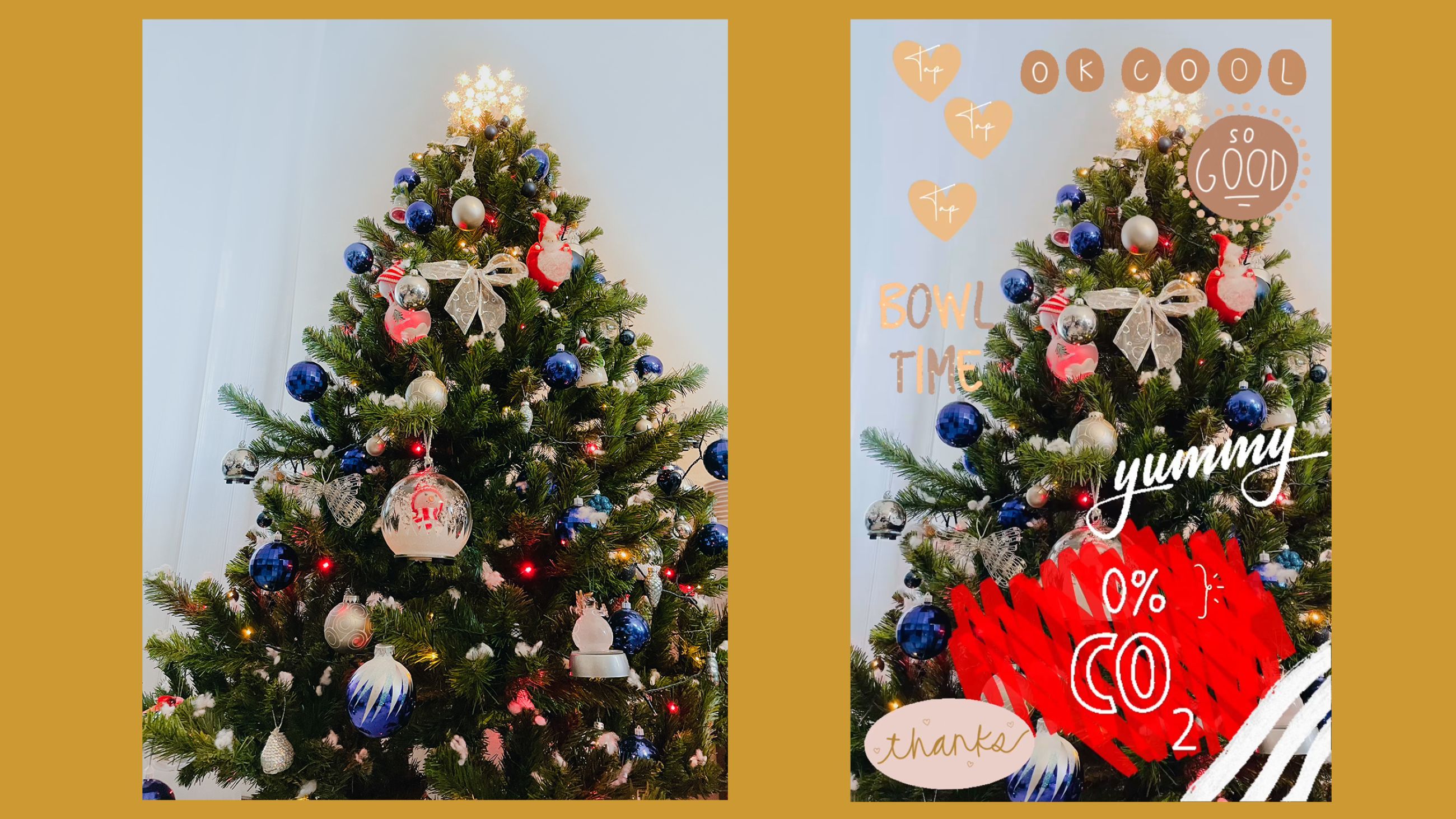 Esempio di immagine con nuovi GIF originali – Crediti: Matteo Dall’Ava