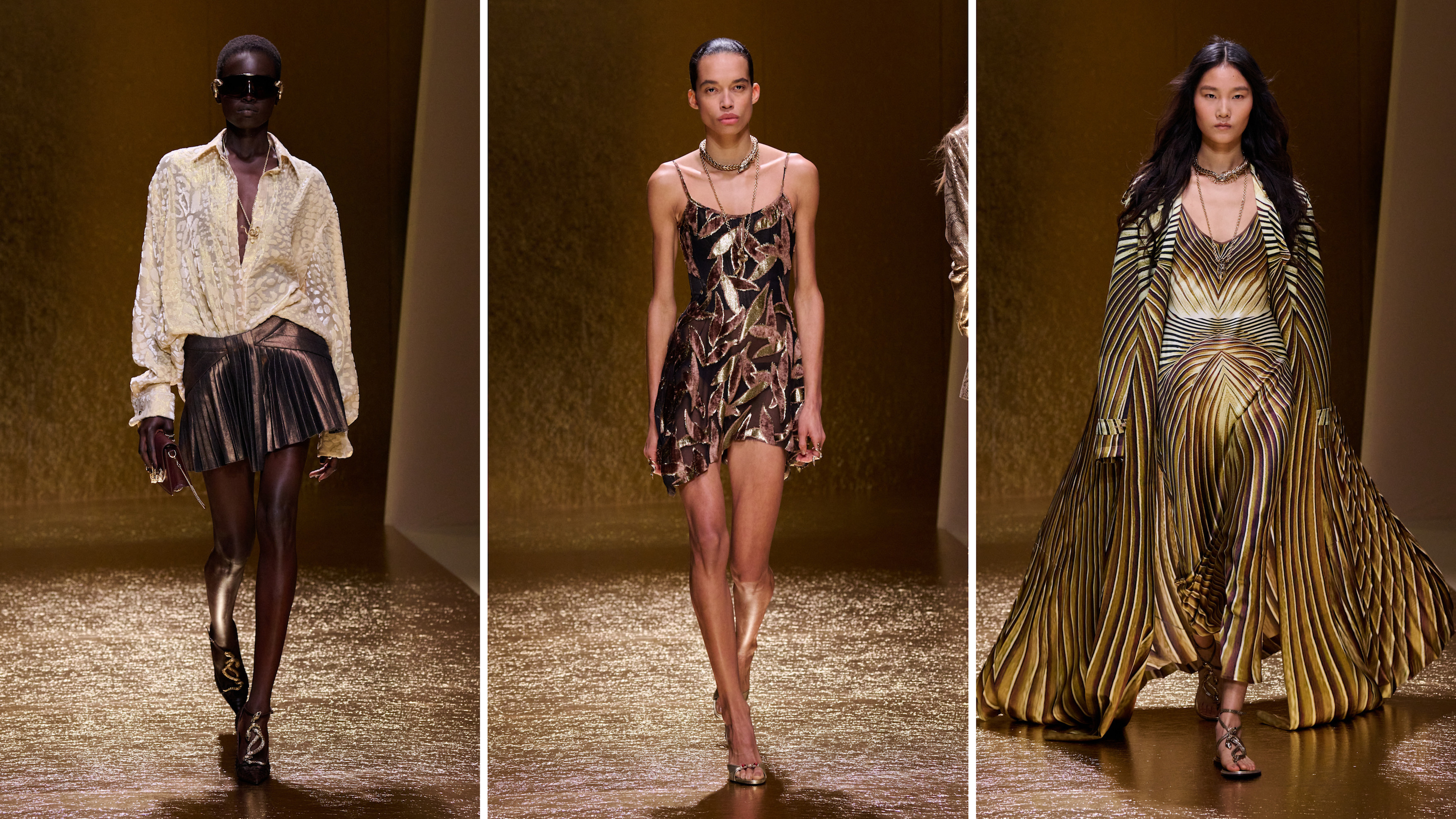 Roberto Cavalli, sfilata SS26
Credit: Launchmetrics.com/Spotlight