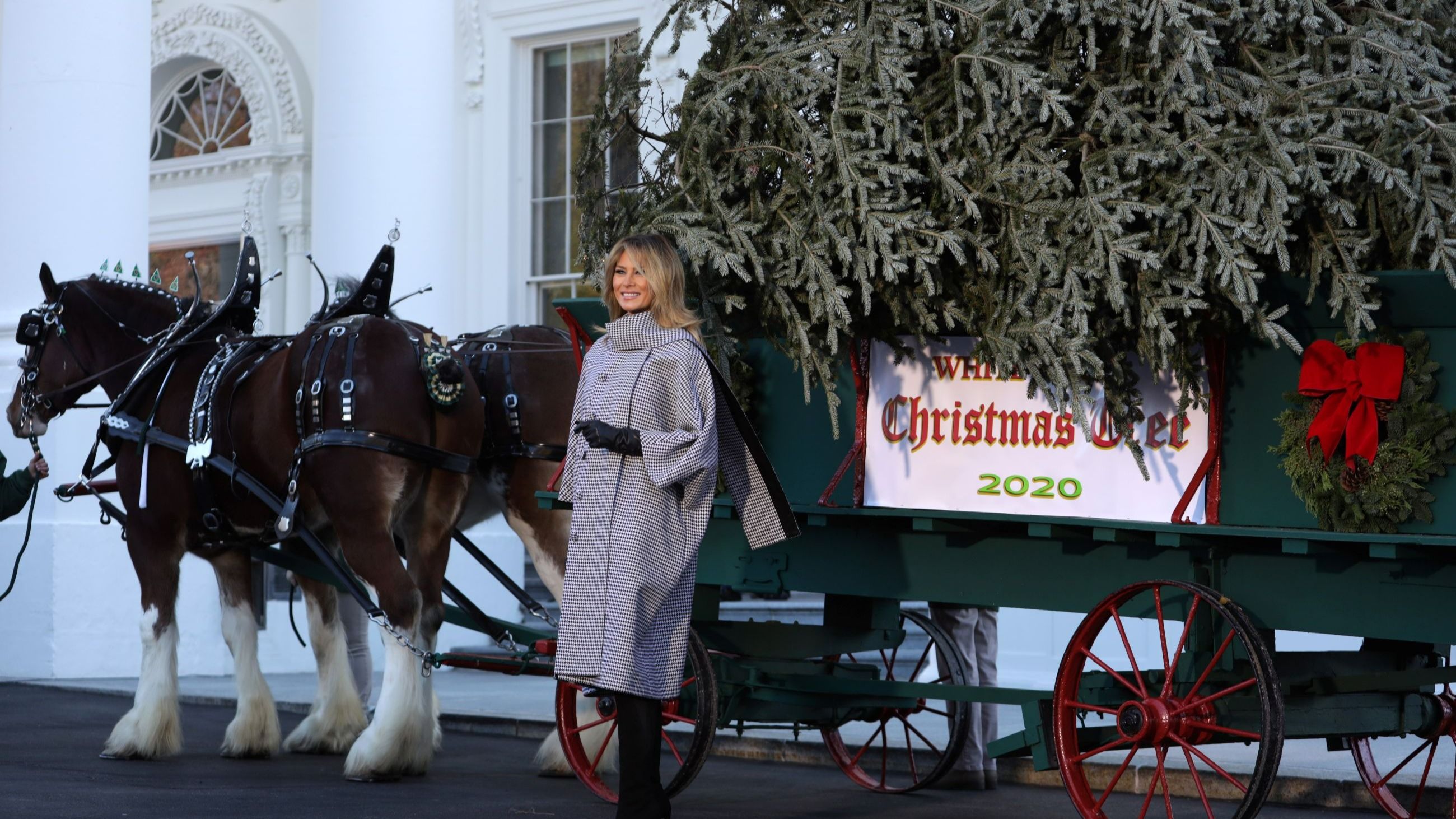 Melania Trump riceve l'albero di Natale 2020 della Casa Bianca il 23 novembre 2020 alla Casa Bianca a Washington, DC - Credits Getty Images