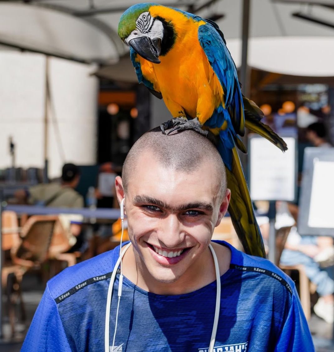 Uno scatto di Achille Costacurta durante il suo viaggio tra Australia e India (Instagram Achille Costacurta, foto scattata a Sydney)