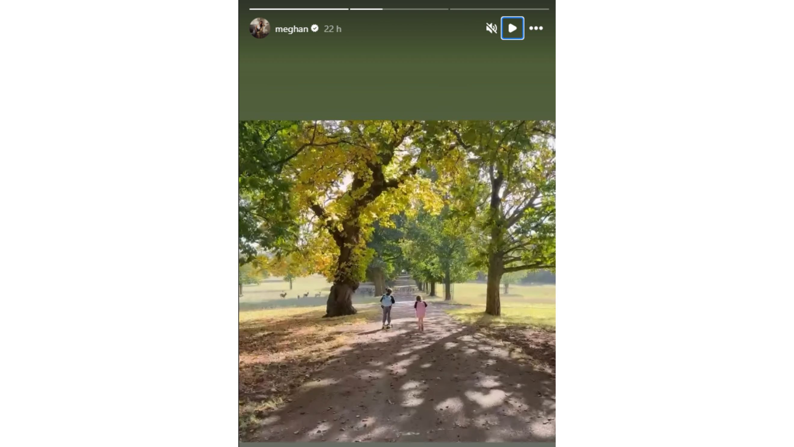 Credits: Immagini tratte dalle storie Instagram di Meghan Markle