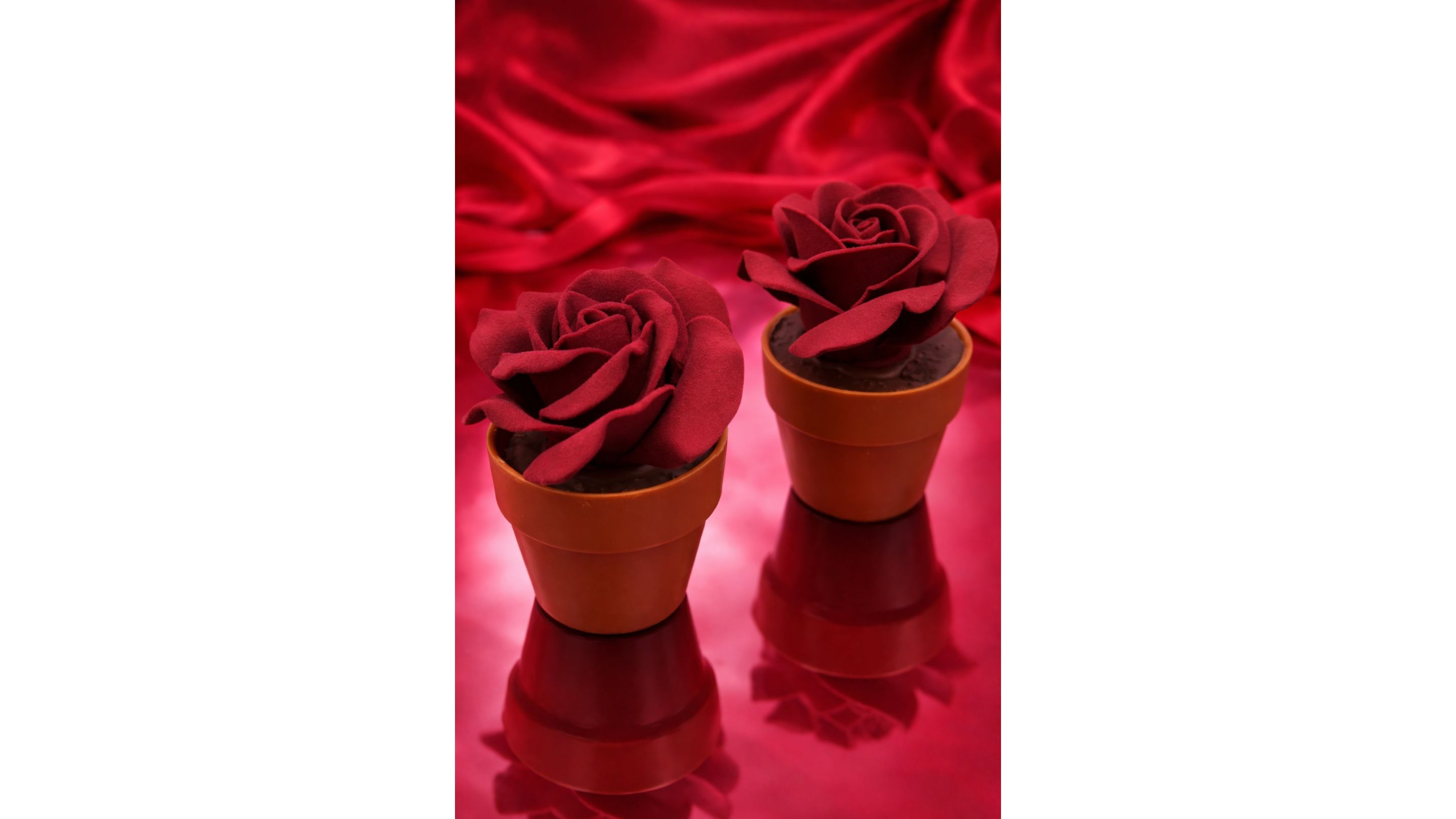 Roberto Cantolacqua - Credits: Courtesy Press Office