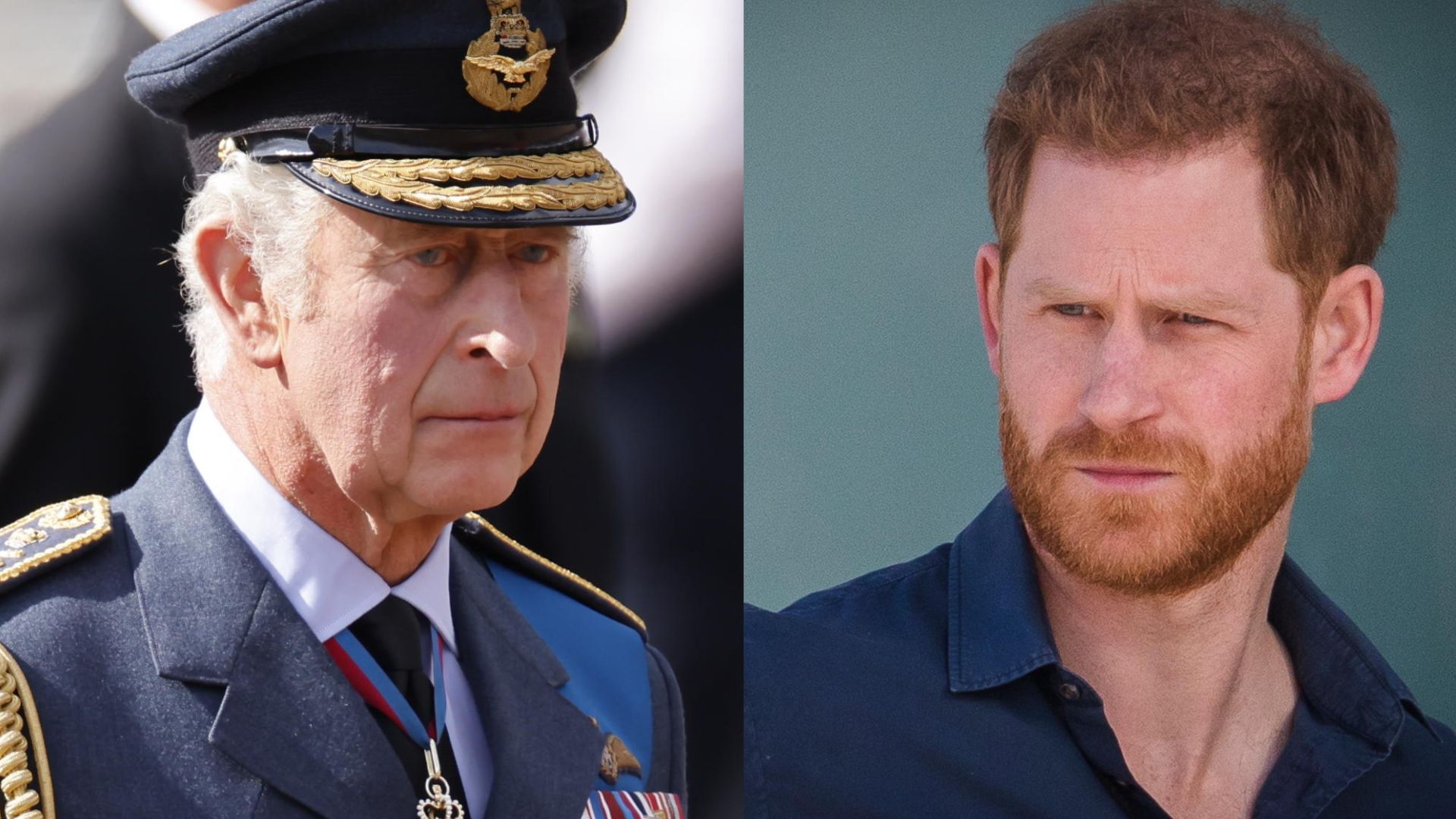 Re Carlo e il Principe Harry