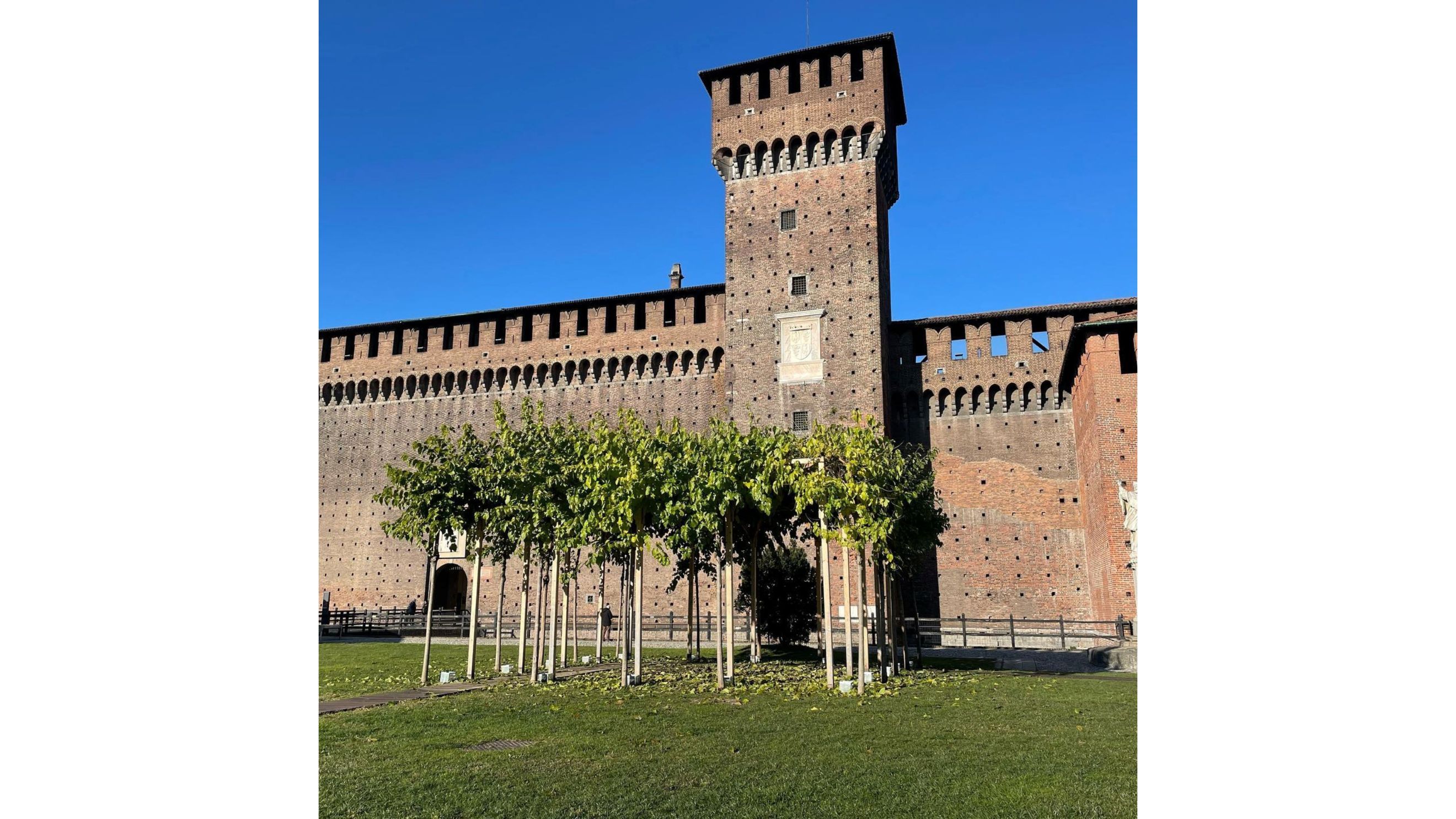 Orticola per Milano Castello Sforzesco - Credits Press Office