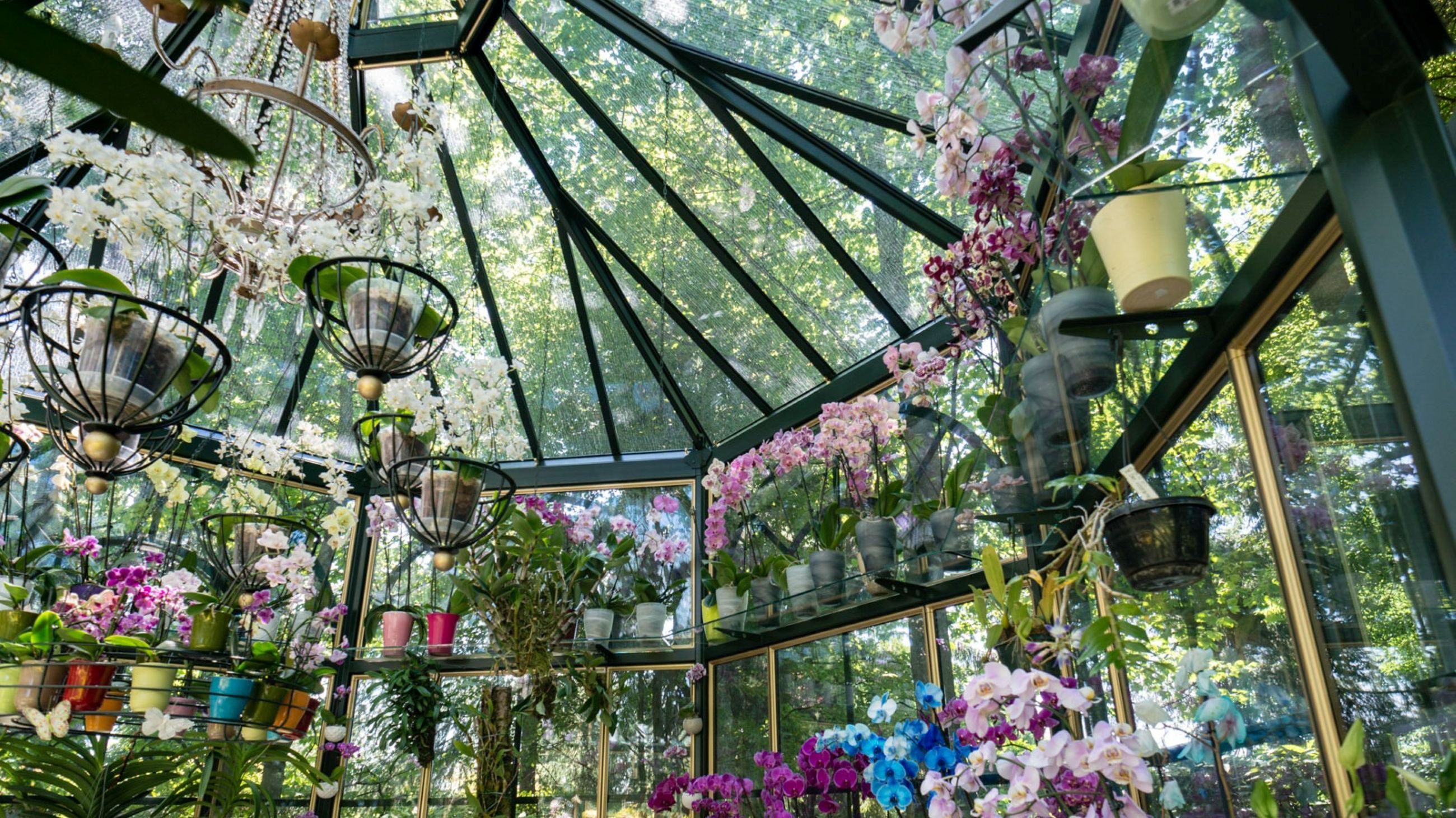 Hartley Botanic - Credits: Courtesy Press Office