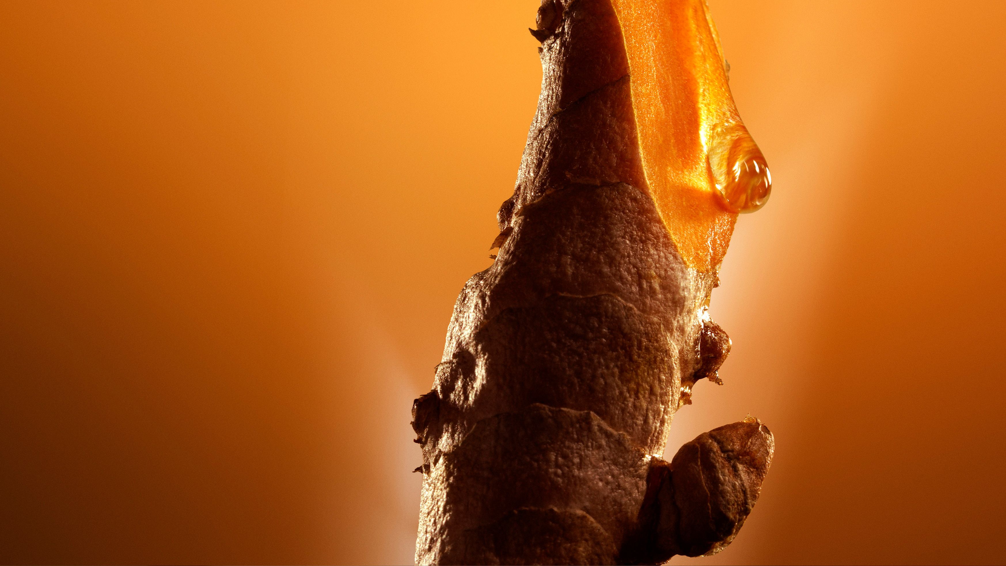 Uno degli ingredienti star di Double Serum di Clarins è l’estratto di curcuma, in grado di stimolare le cinque funzioni vitali della pelle